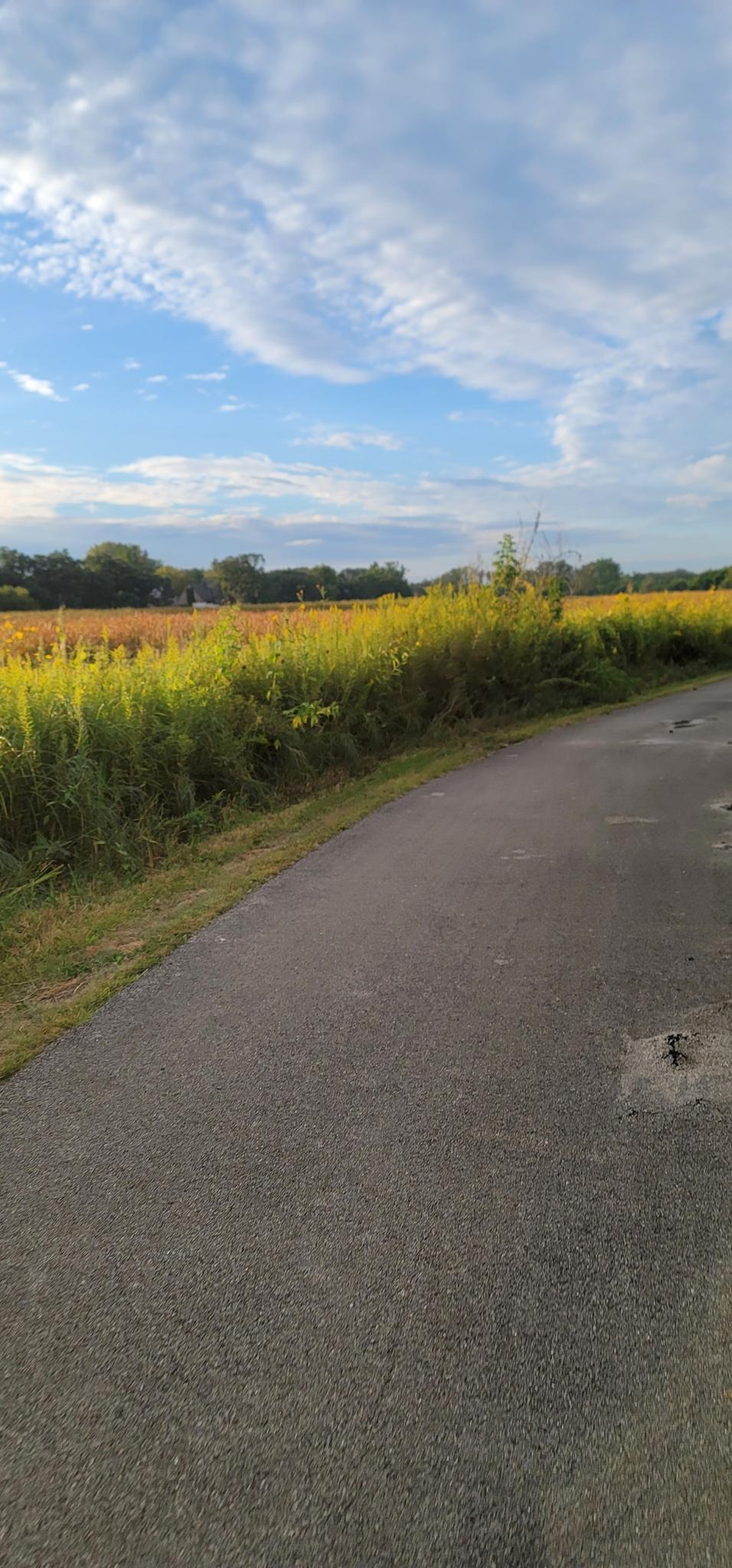 A paved path curves beside sunlit fields and distant trees under a blue sky.