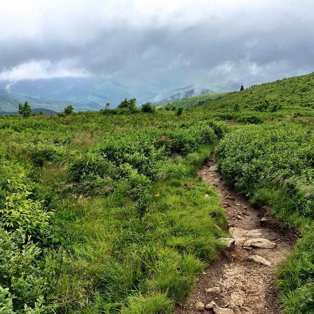 Dirt path winding through lush green hills under a cloudy sky.