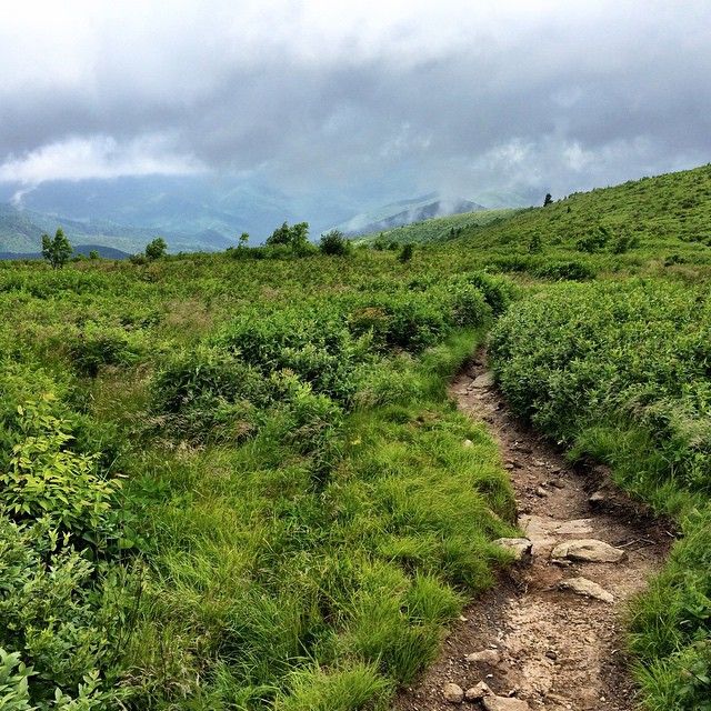 Dirt path winding through lush green hills under a cloudy sky. - Black Balsam and Tennent Mountain Loop