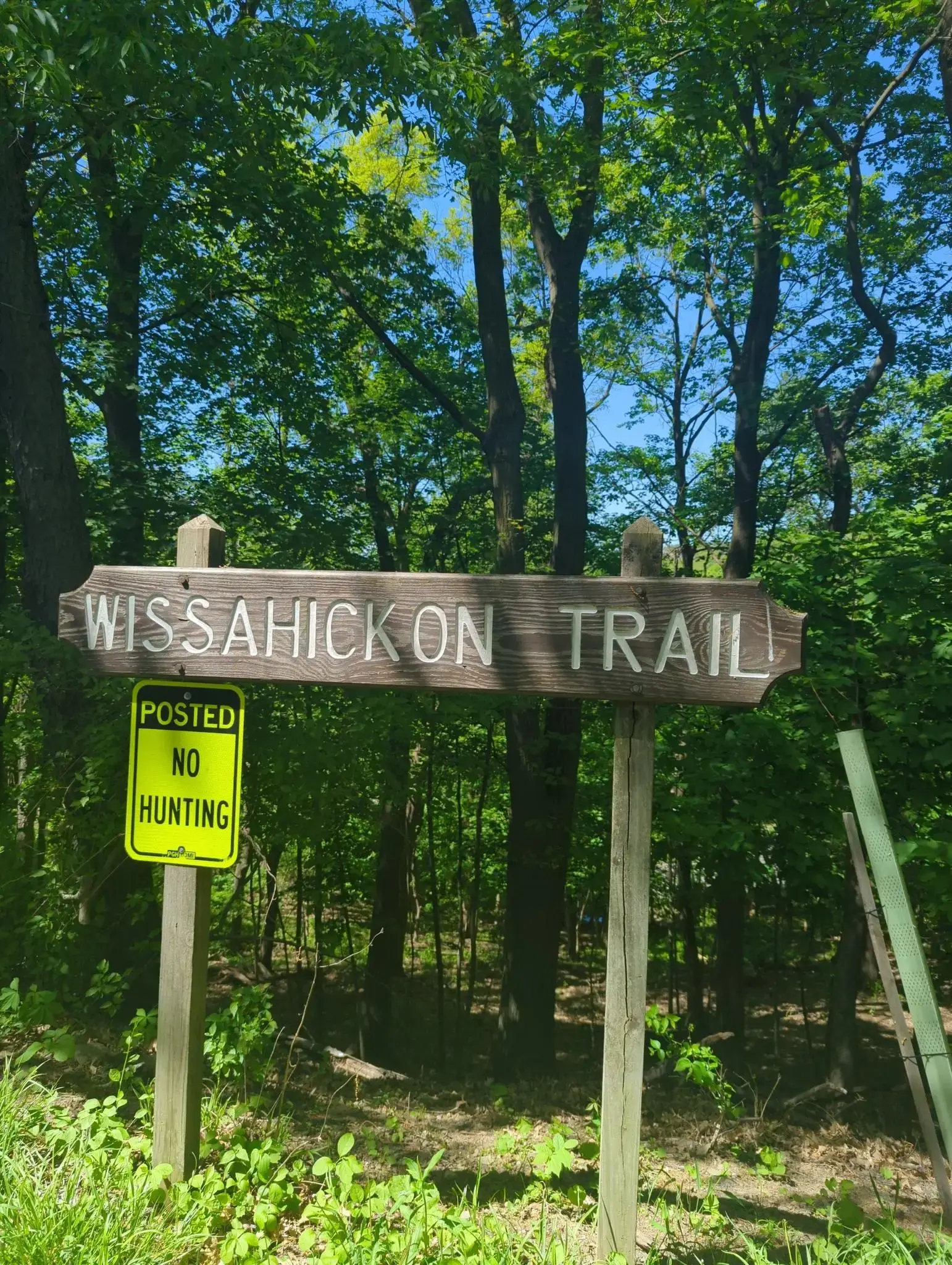 Wooden trail sign and a "No Hunting" sign in a sunny forest.