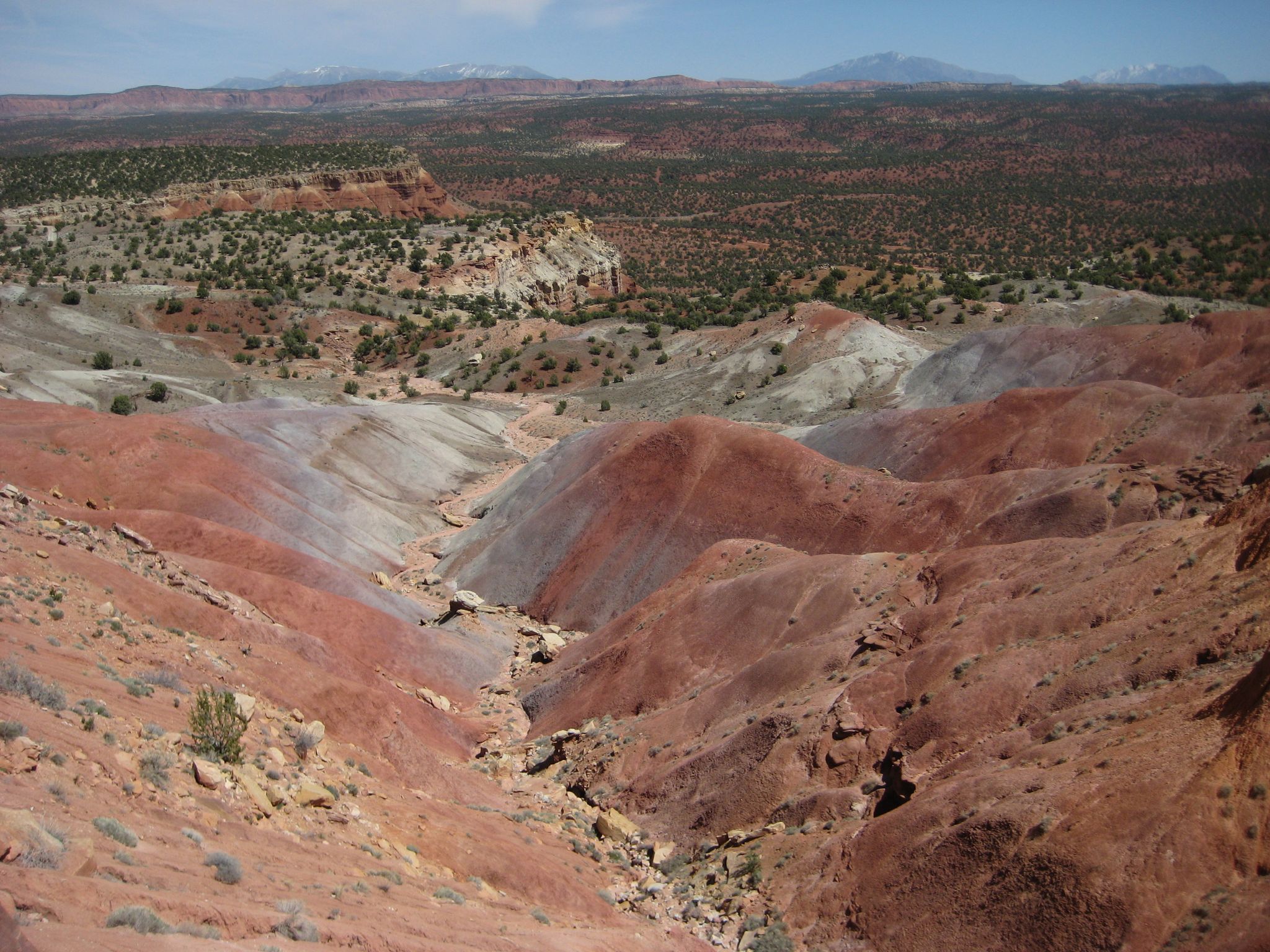 Expansive view of colorful red and gray badlands under a bright, sunny sky. - Long Canyon Overlook loop from Boulder