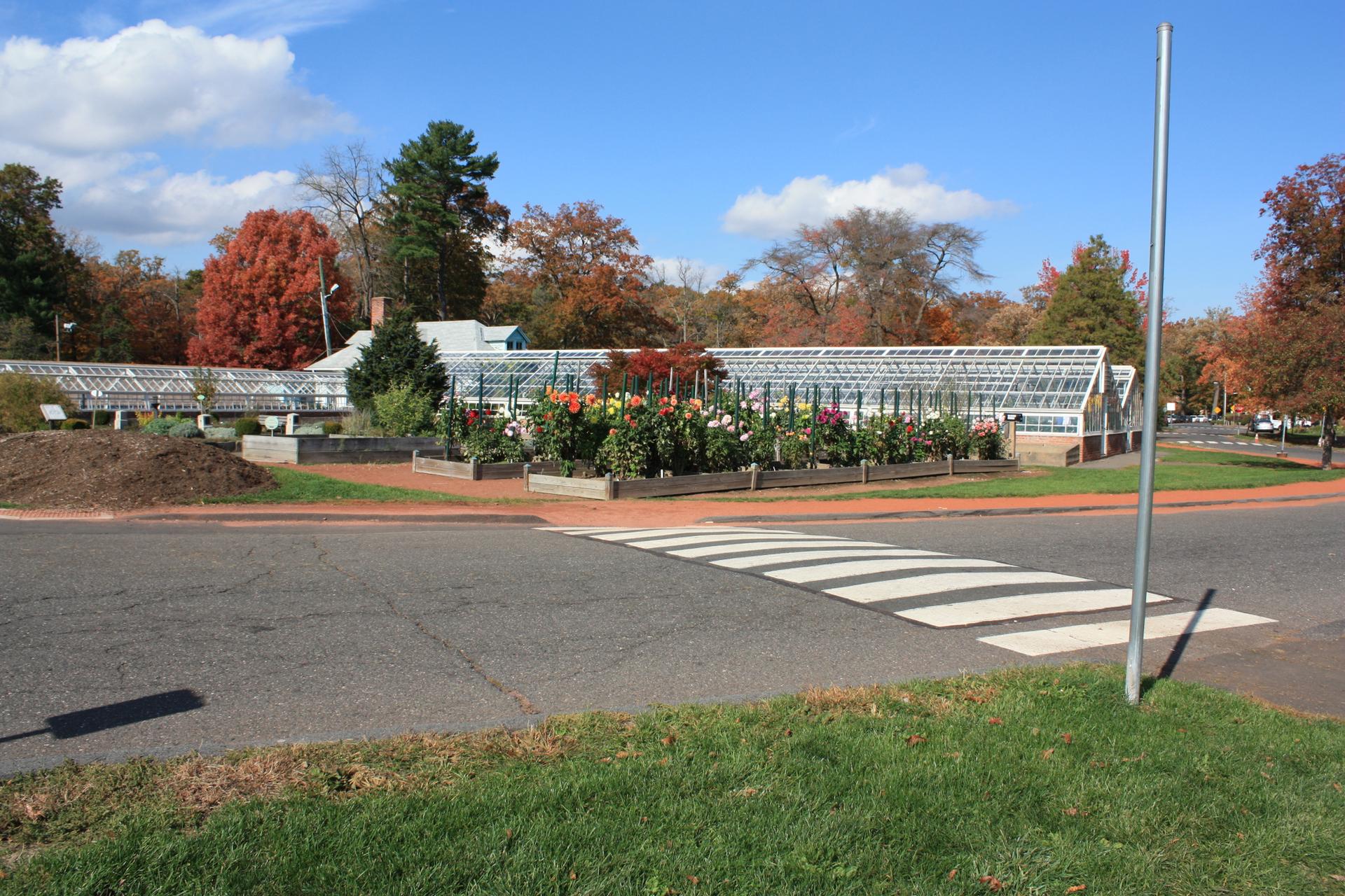 Greenhouses and colorful flower beds next to a crosswalk on a sunny day.
