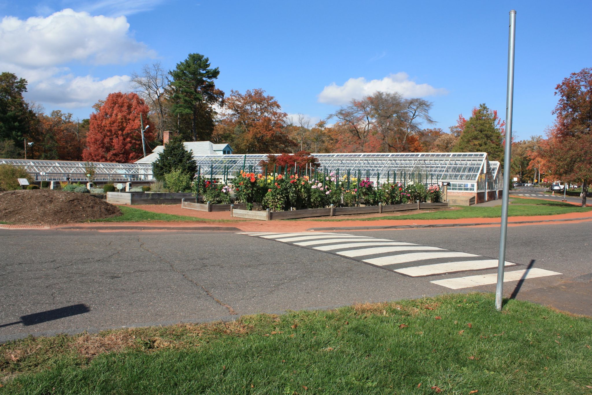 Greenhouses and colorful flower beds next to a crosswalk on a sunny day. - Elizabeth Park Loop