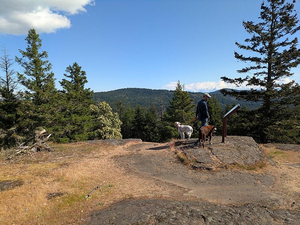 Person with two dogs on a sunny, rocky overlook with forested hills.