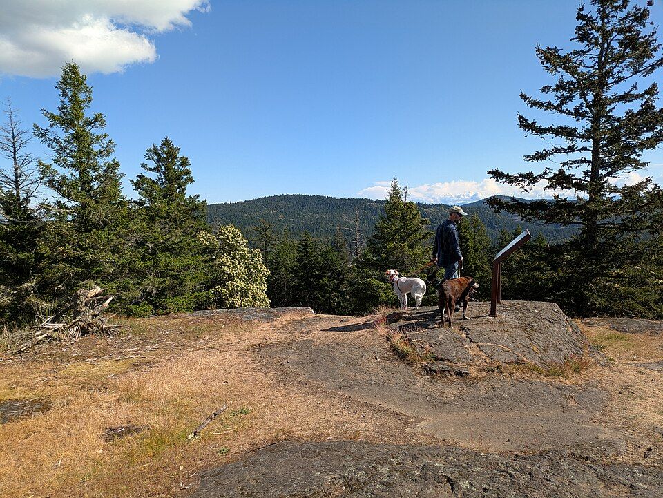 Person with two dogs on a sunny, rocky overlook with forested hills. - Young Hill loop from English Camp Parking