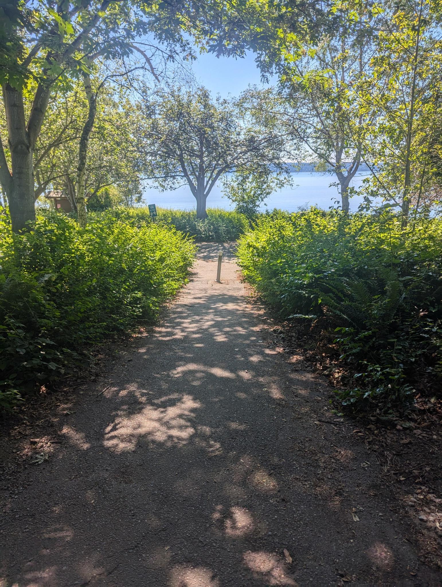Shaded dirt path leading to a bright lake view through green trees.