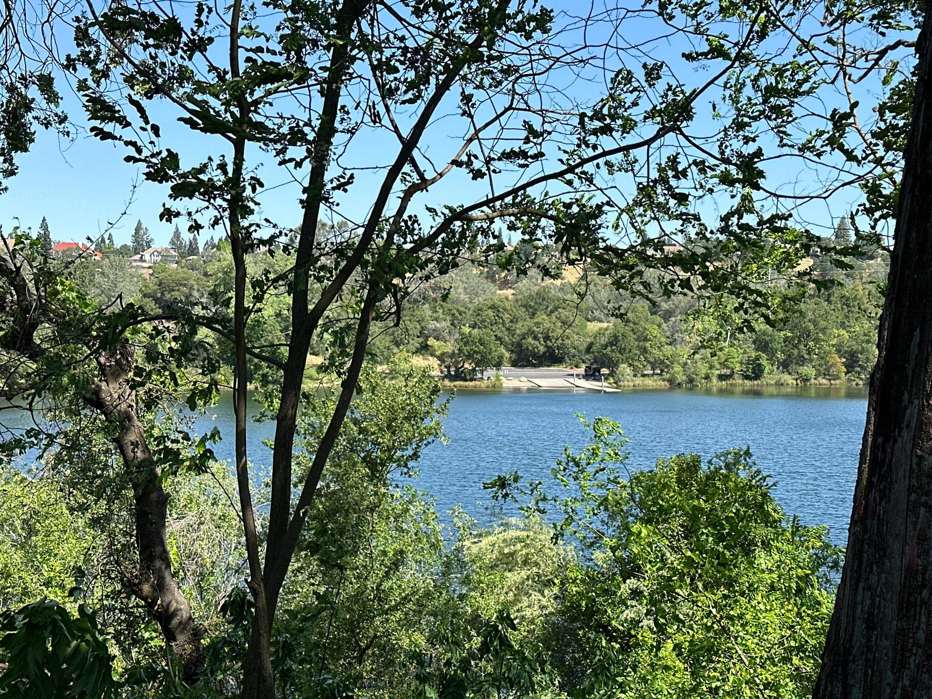 Blue lake seen through a dense frame of green tree branches.