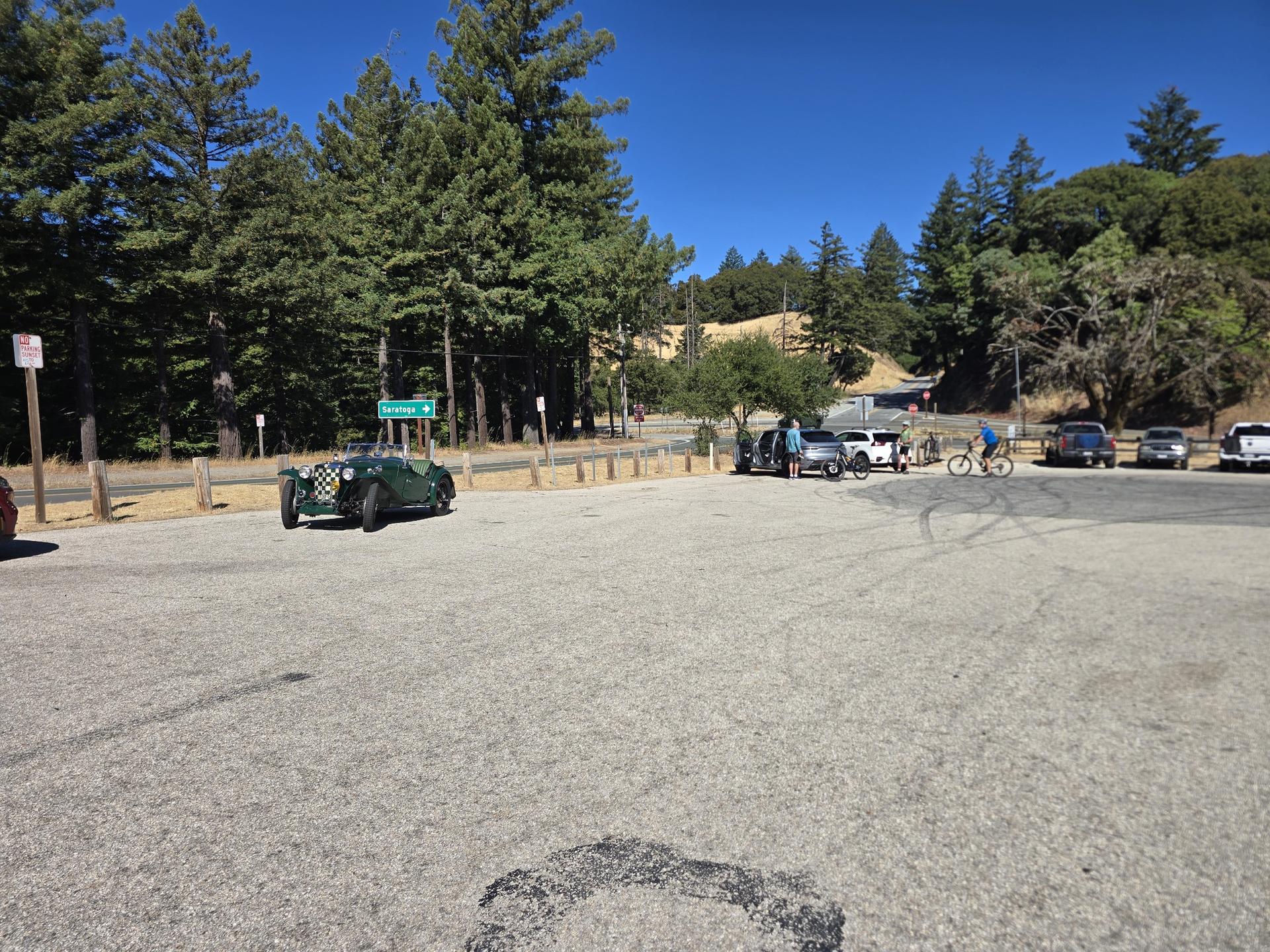A sunny parking lot with cars and people near tall pine trees.
