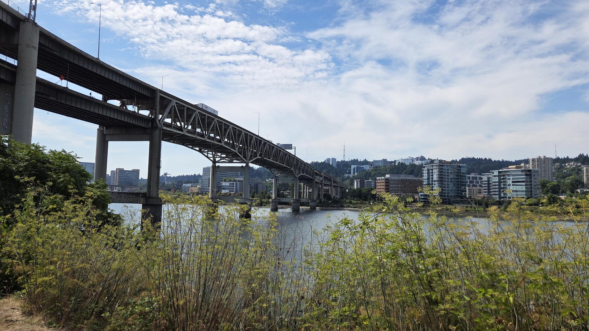Large bridge over water with city buildings and green foliage under a cloudy sky.