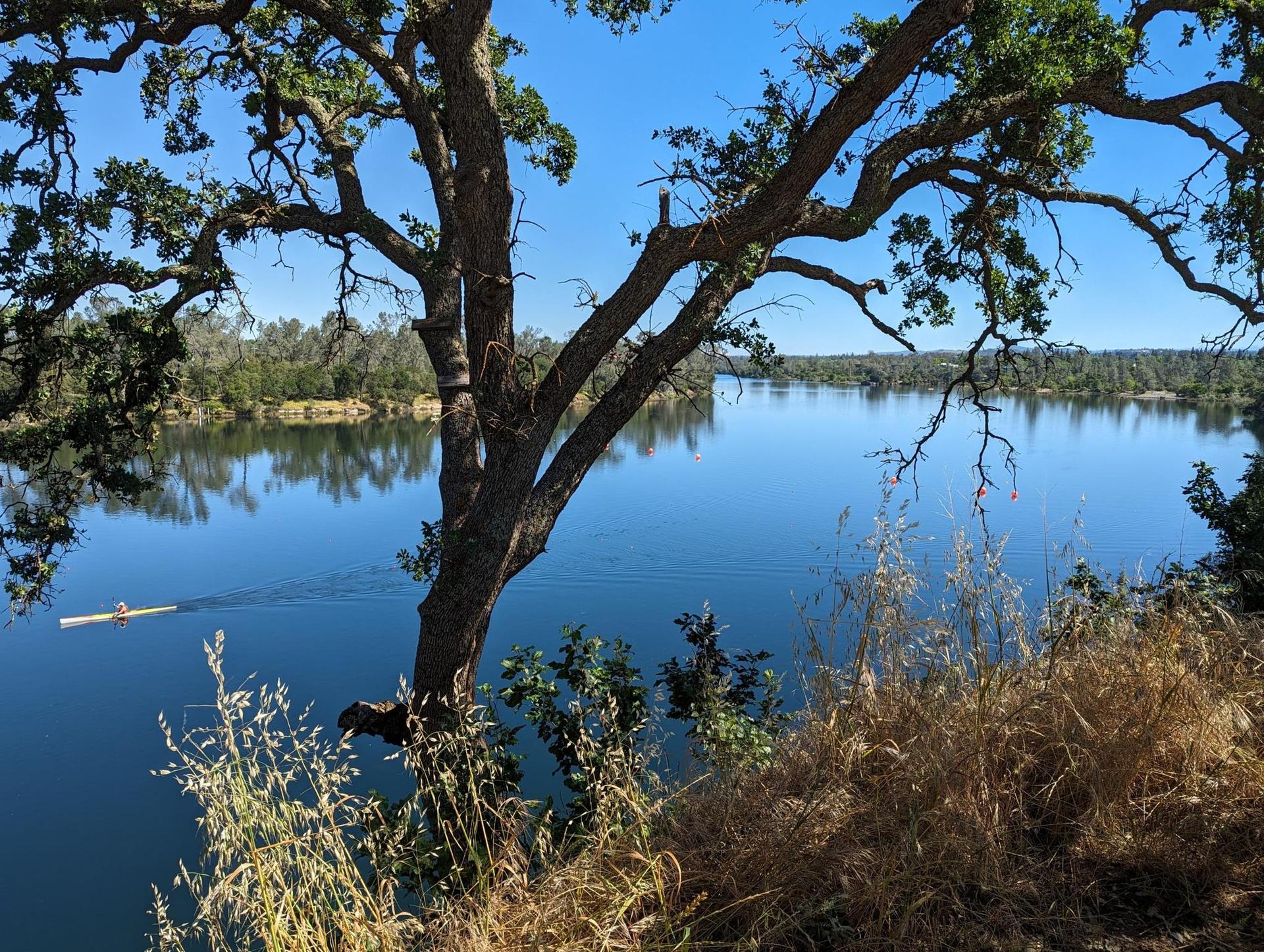 Sunny view of a calm lake with a kayaker, framed by tree branches.