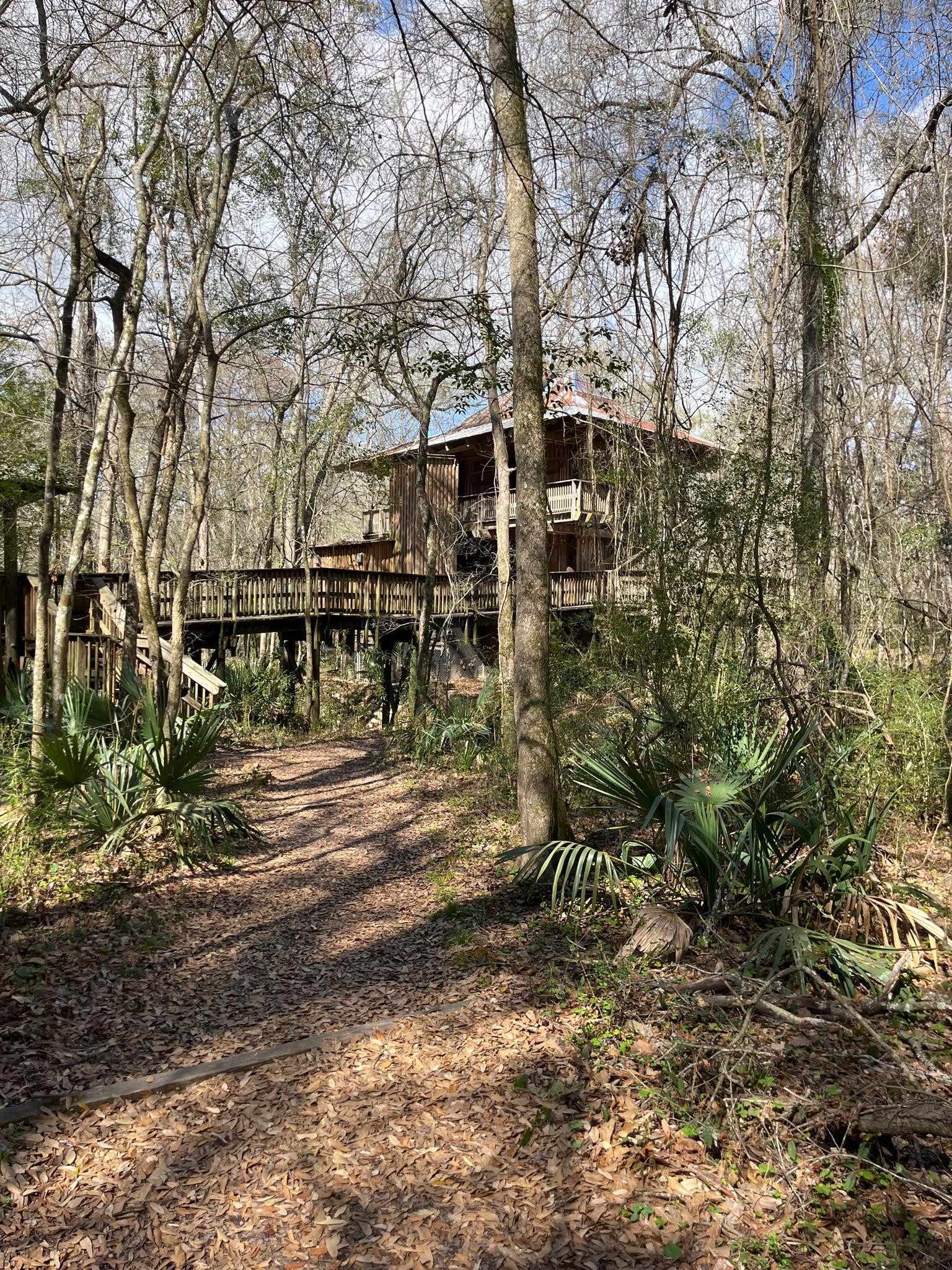 A wooden house on stilts with a walkway, nestled deep in a sunny forest.