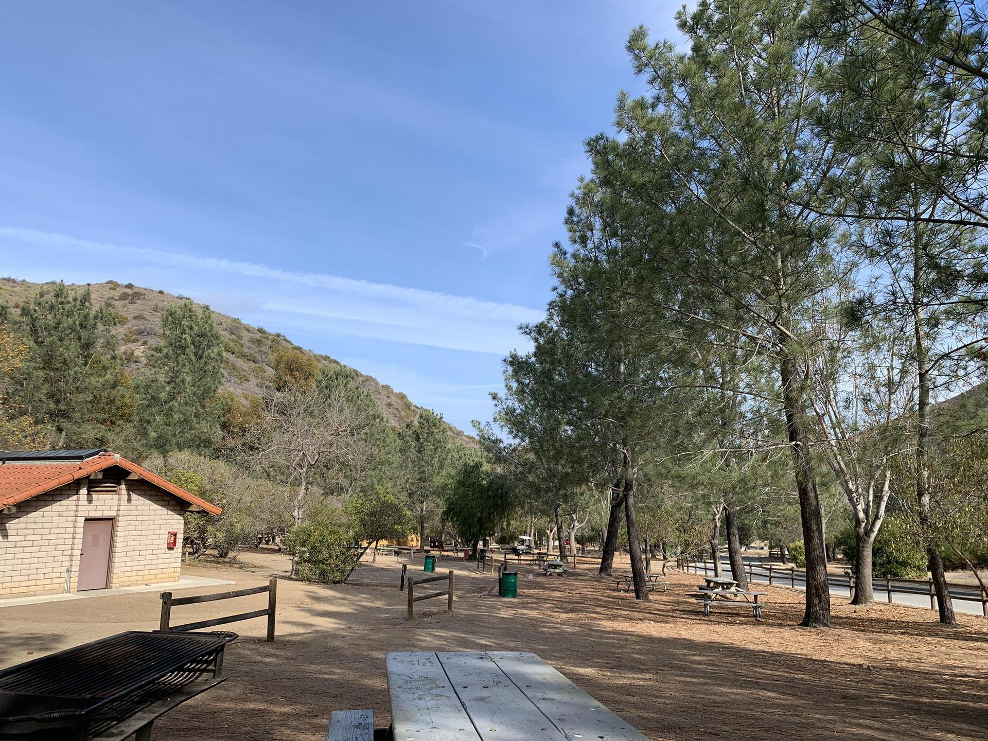 A sunny park with picnic tables, a building, and tall trees against a hill.