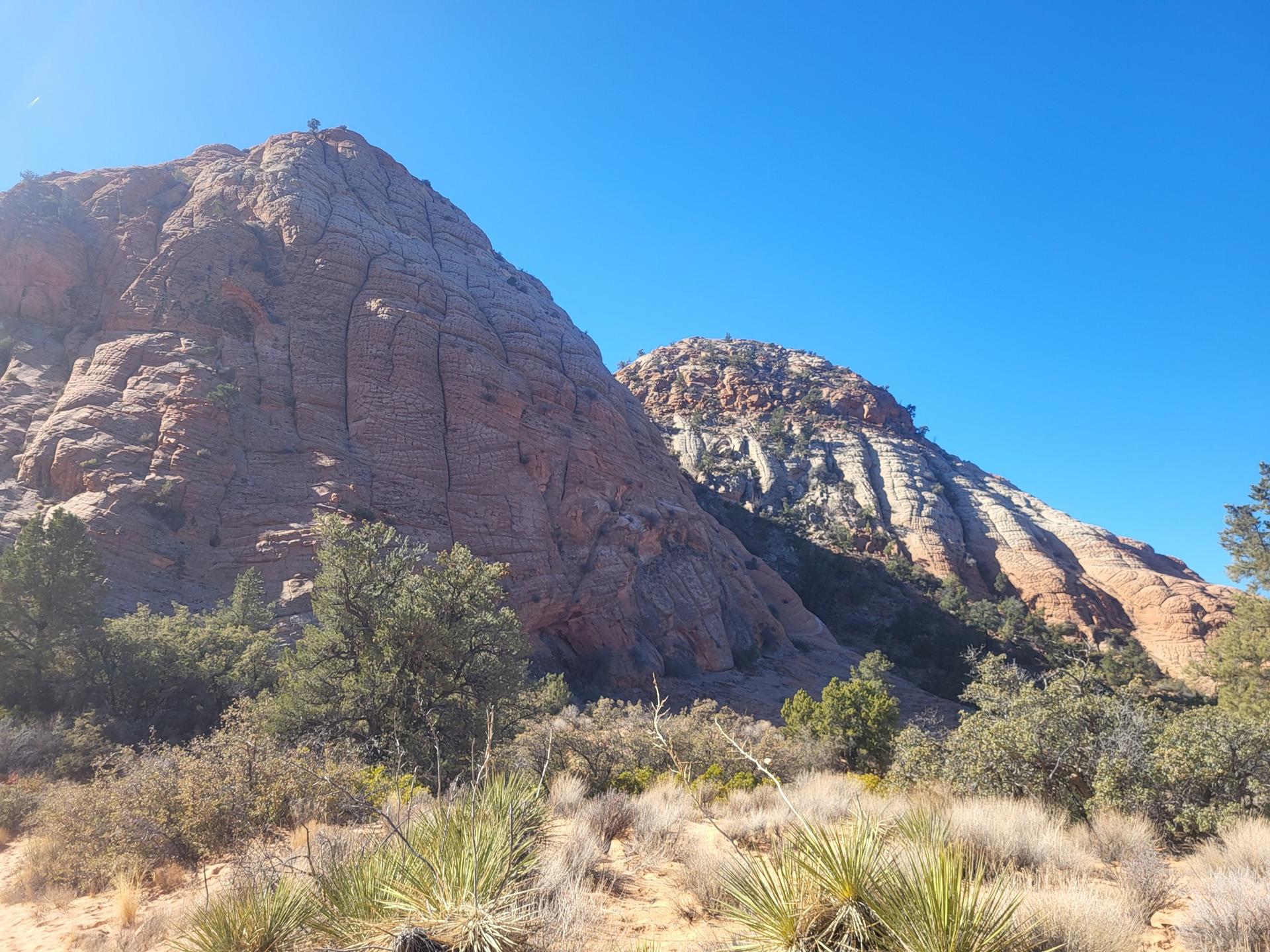 Sunny desert landscape with large rocky mountains and sparse vegetation under blue sky.
