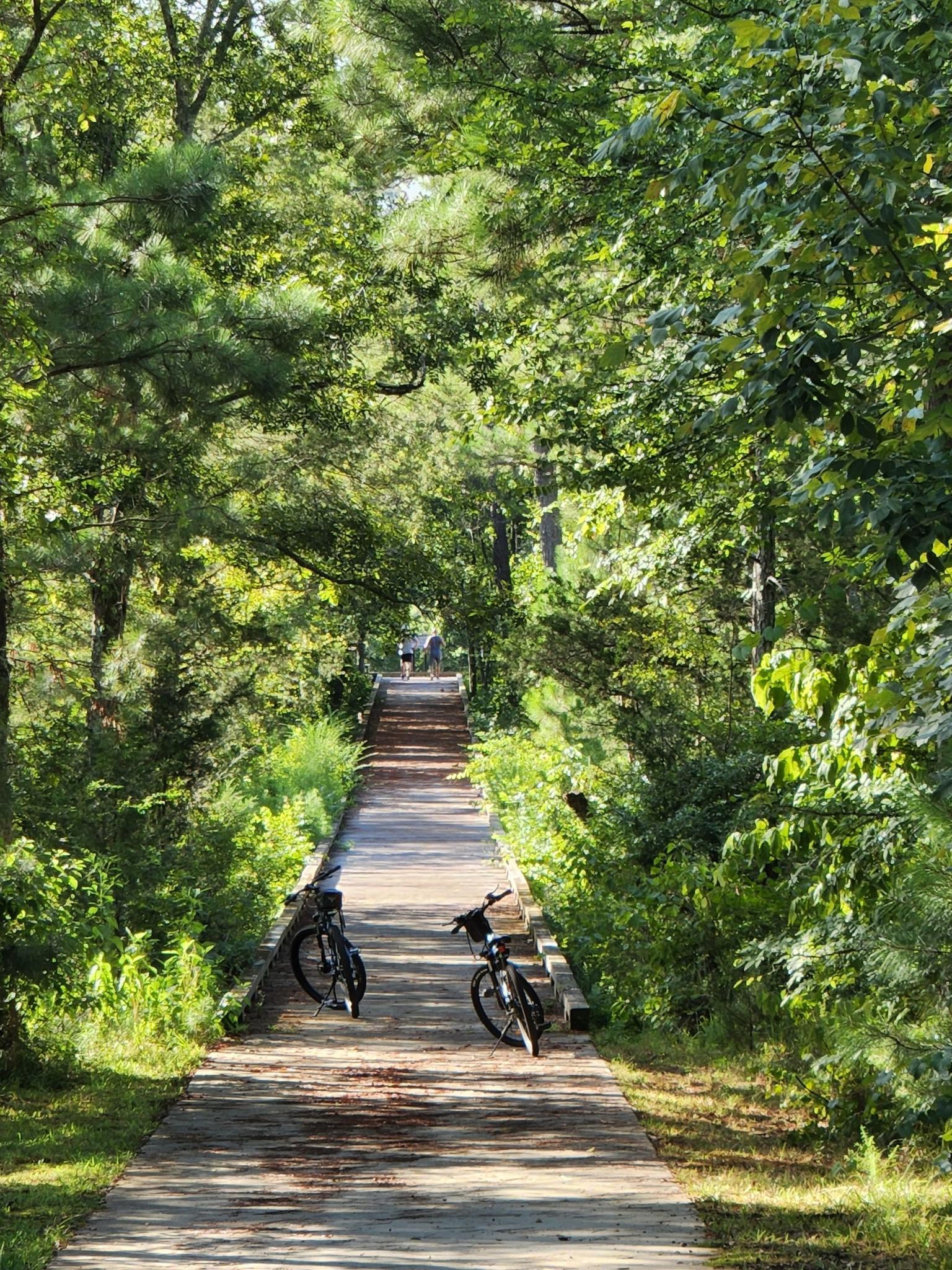 Two bicycles parked on a sun-dappled wooden boardwalk through a dense forest.