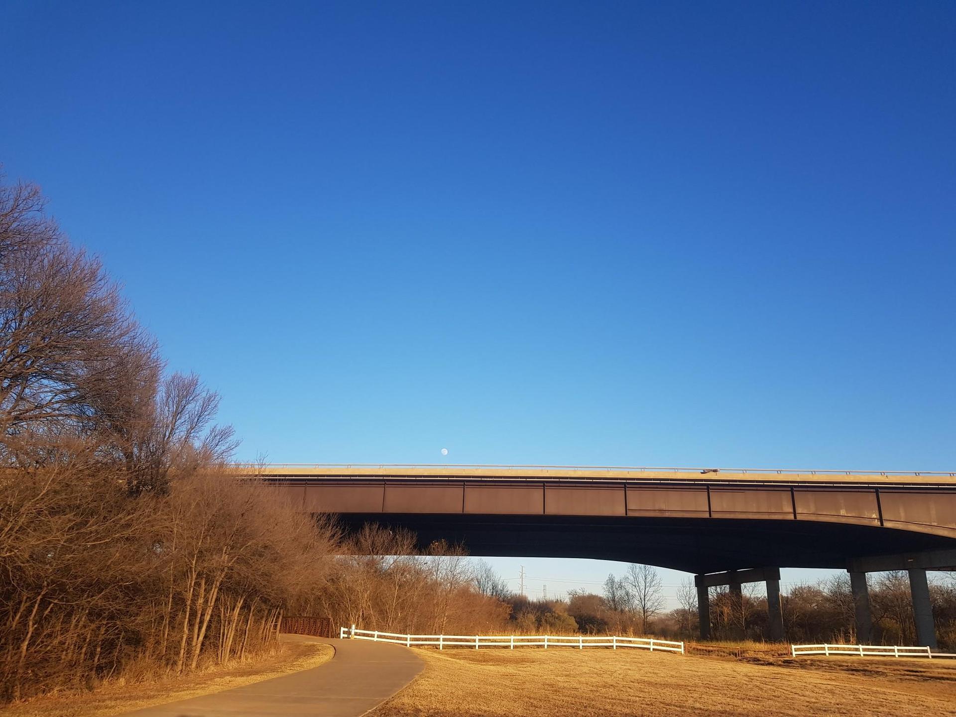 Paved path under a large overpass, bare trees, and bright blue sky.