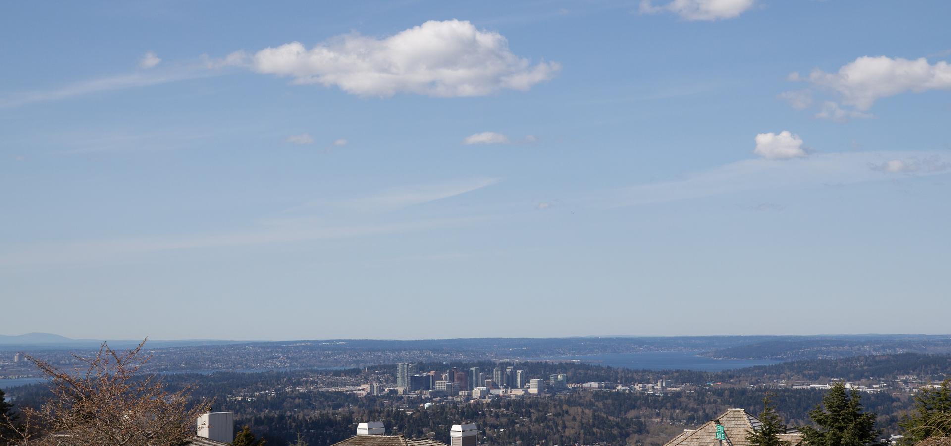 Wide view of a distant city skyline, forested hills, and a clear sky.