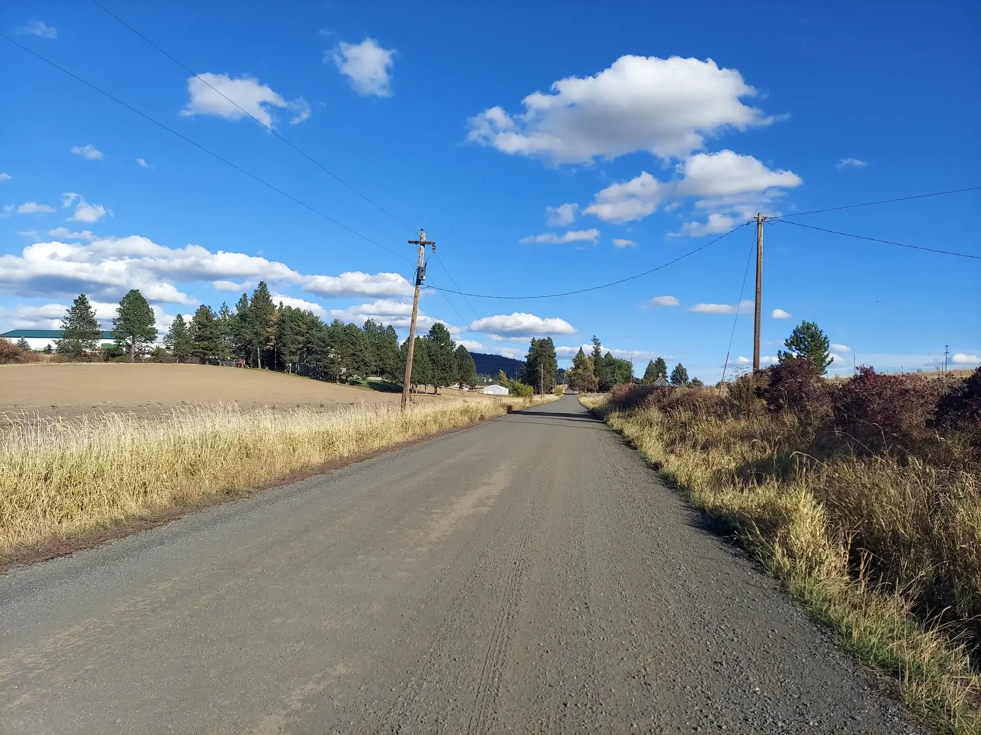 A long dirt road through fields under a bright blue sky.