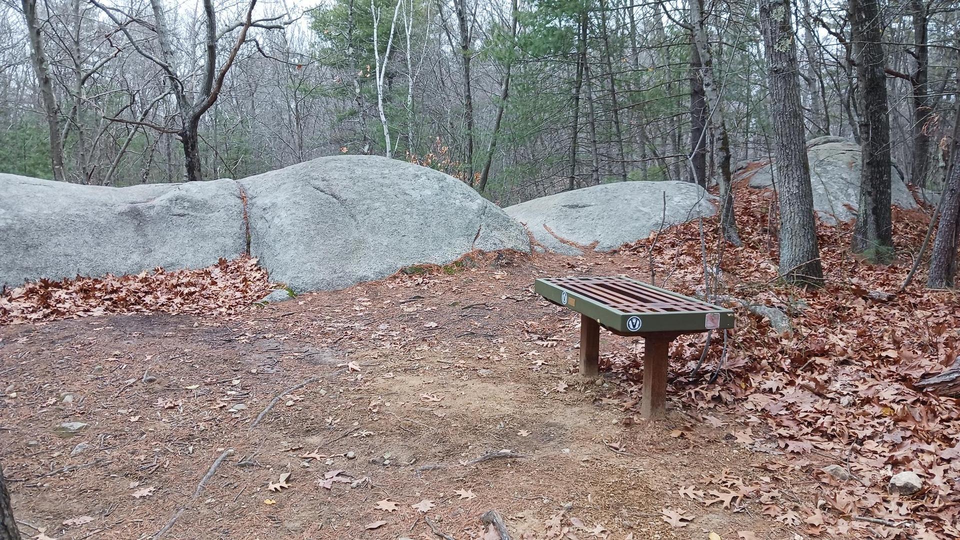 A wooden bench sits beside large boulders on a leaf-covered forest floor.