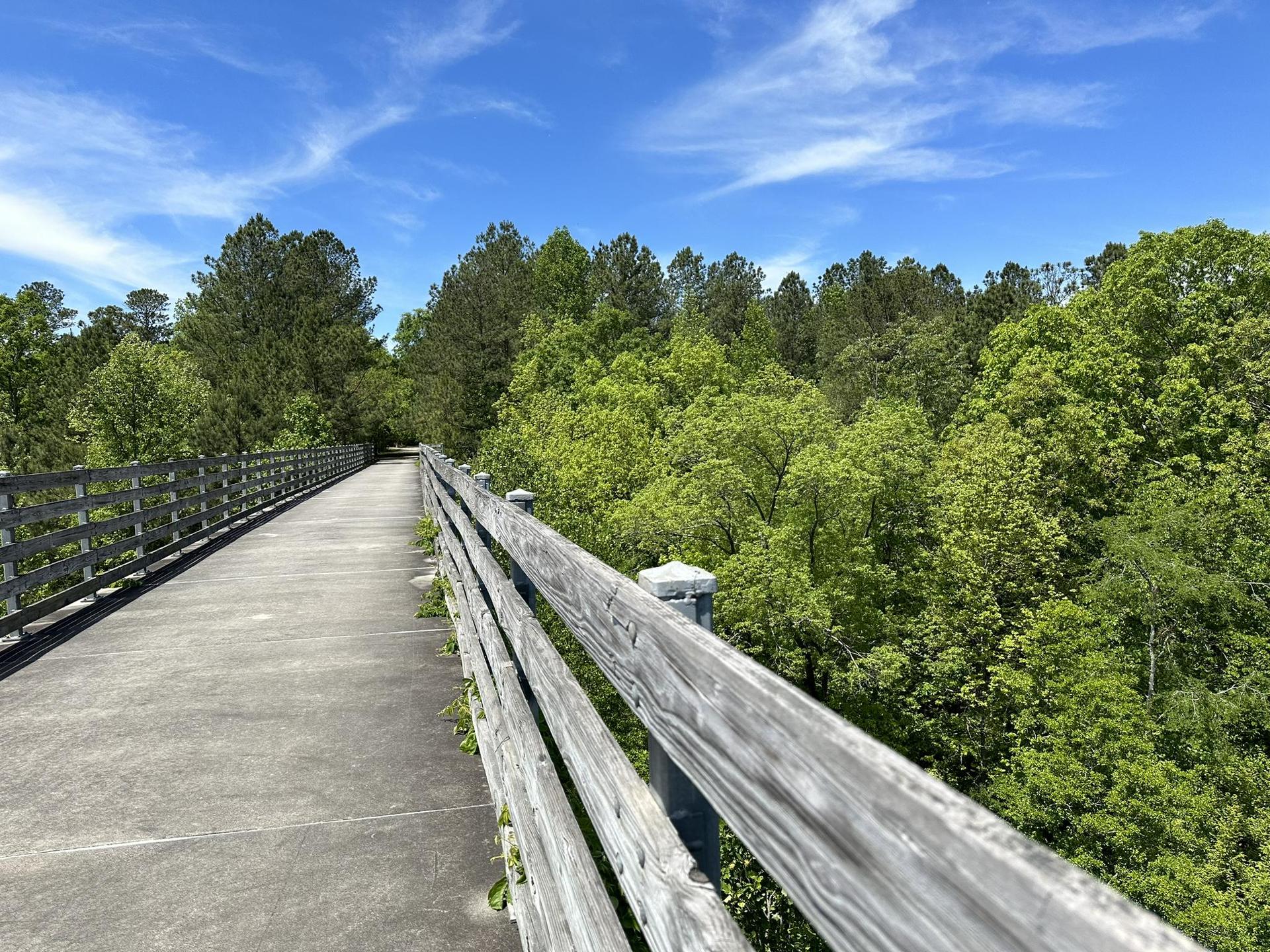 Sunny day on a concrete bridge with wooden railings, surrounded by green trees.