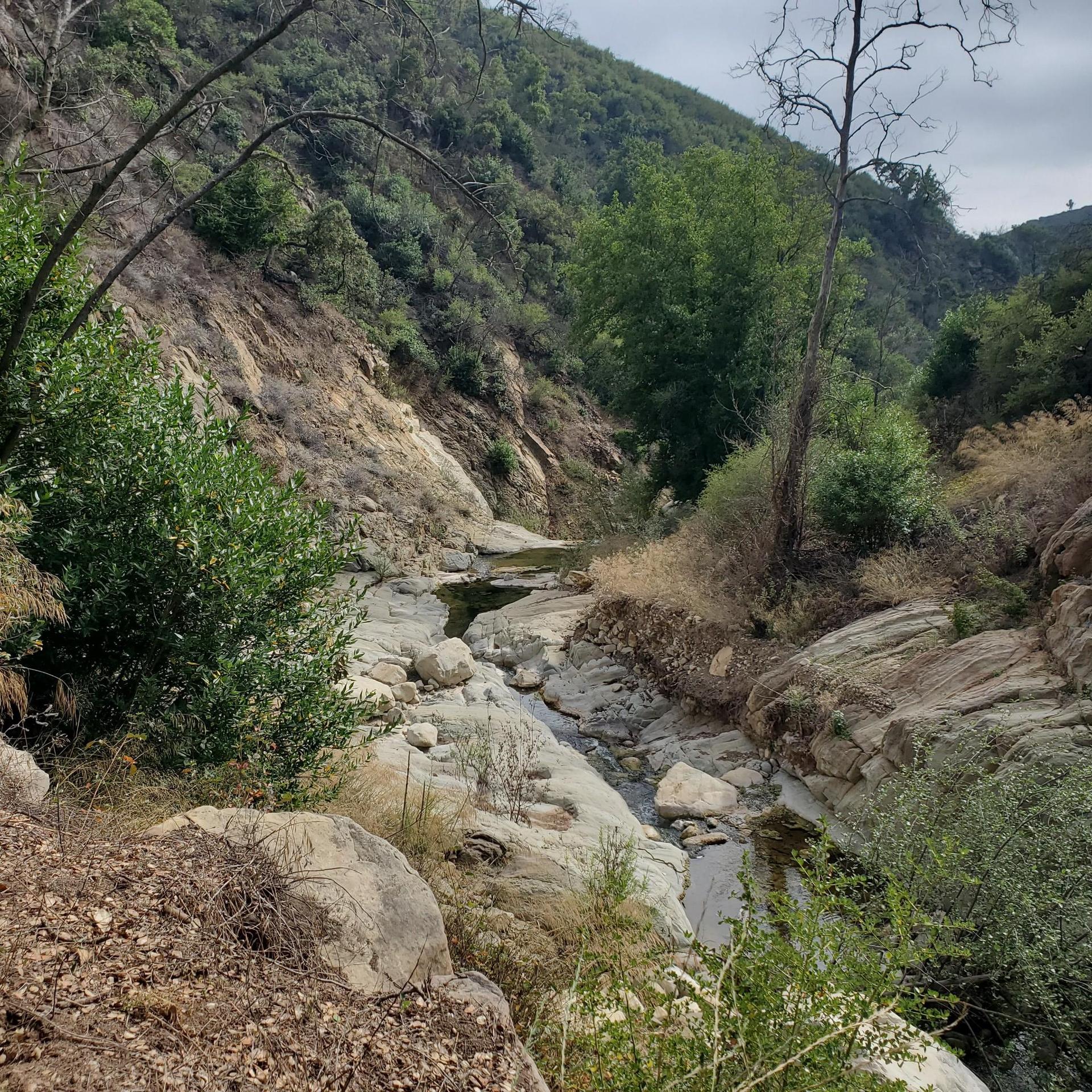 Rocky stream winding through a narrow, green canyon under an overcast sky.