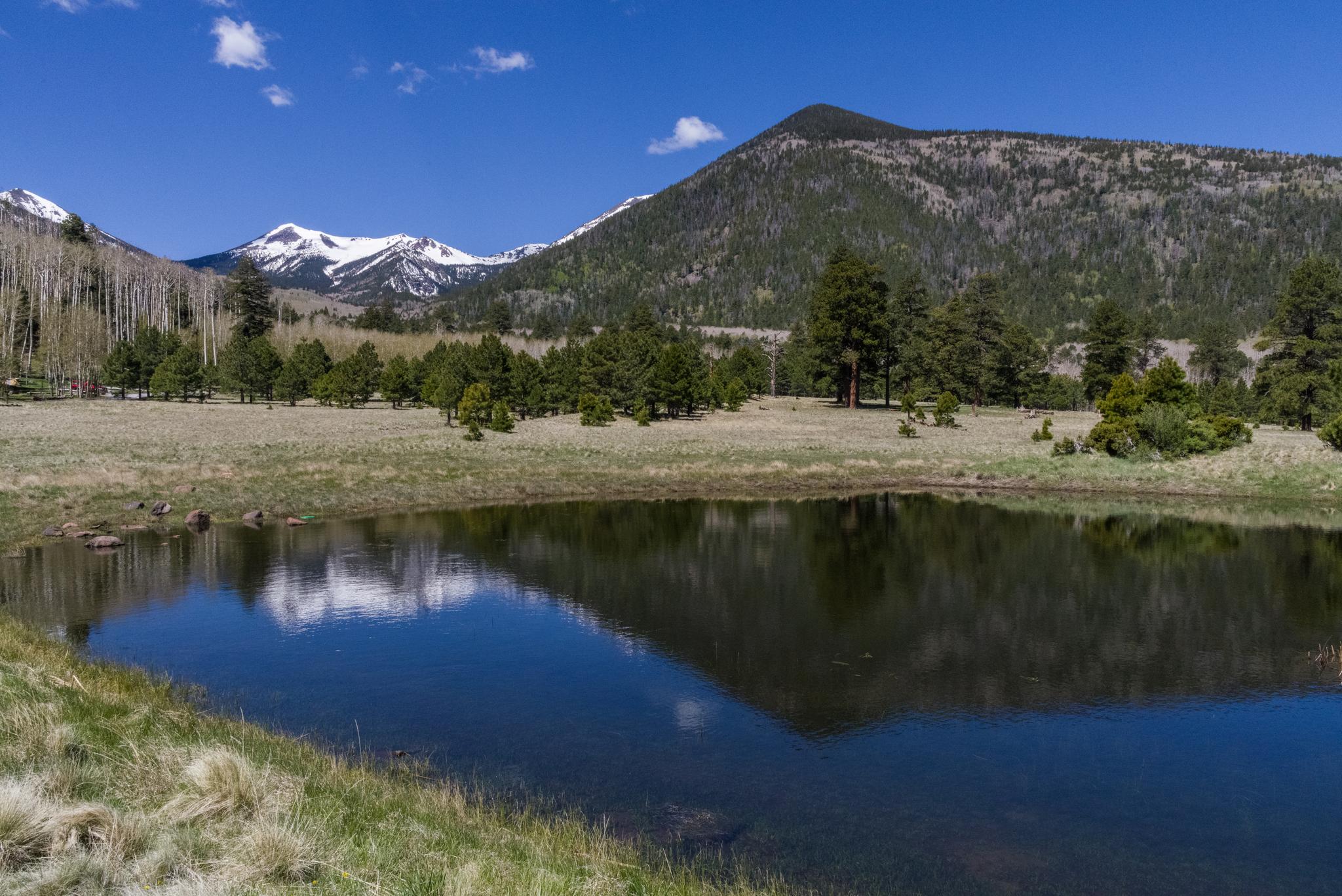 Calm mountain lake reflecting snow-capped peaks and green trees under blue sky.