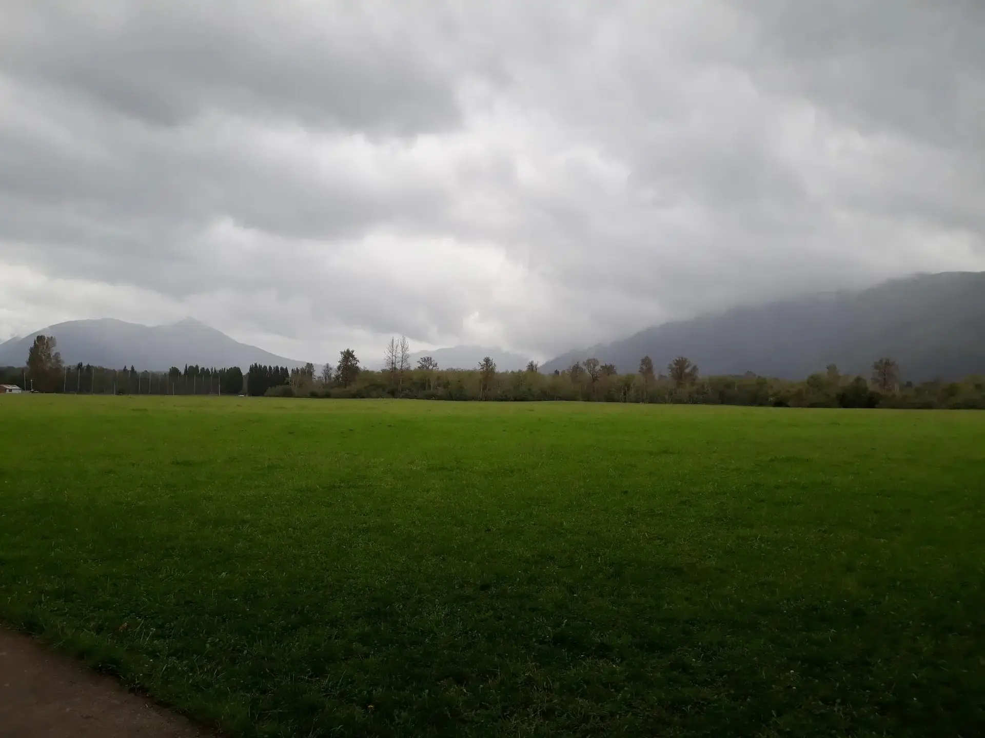 Vast green field stretching towards distant mountains under a cloudy sky.