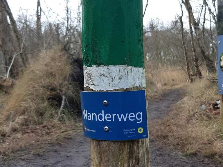 Naturschutzgebiet Greune Stee – Wander- & Radrouten | Komoot