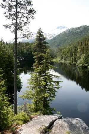 Sunny view of a dark lake, evergreen trees, and snow-capped mountains.