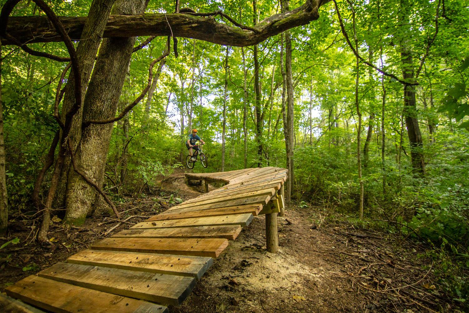 A wooden bike ramp in a lush green forest with a biker in distance.