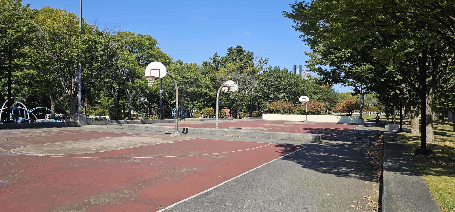 Empty outdoor basketball courts surrounded by green trees on a sunny day.