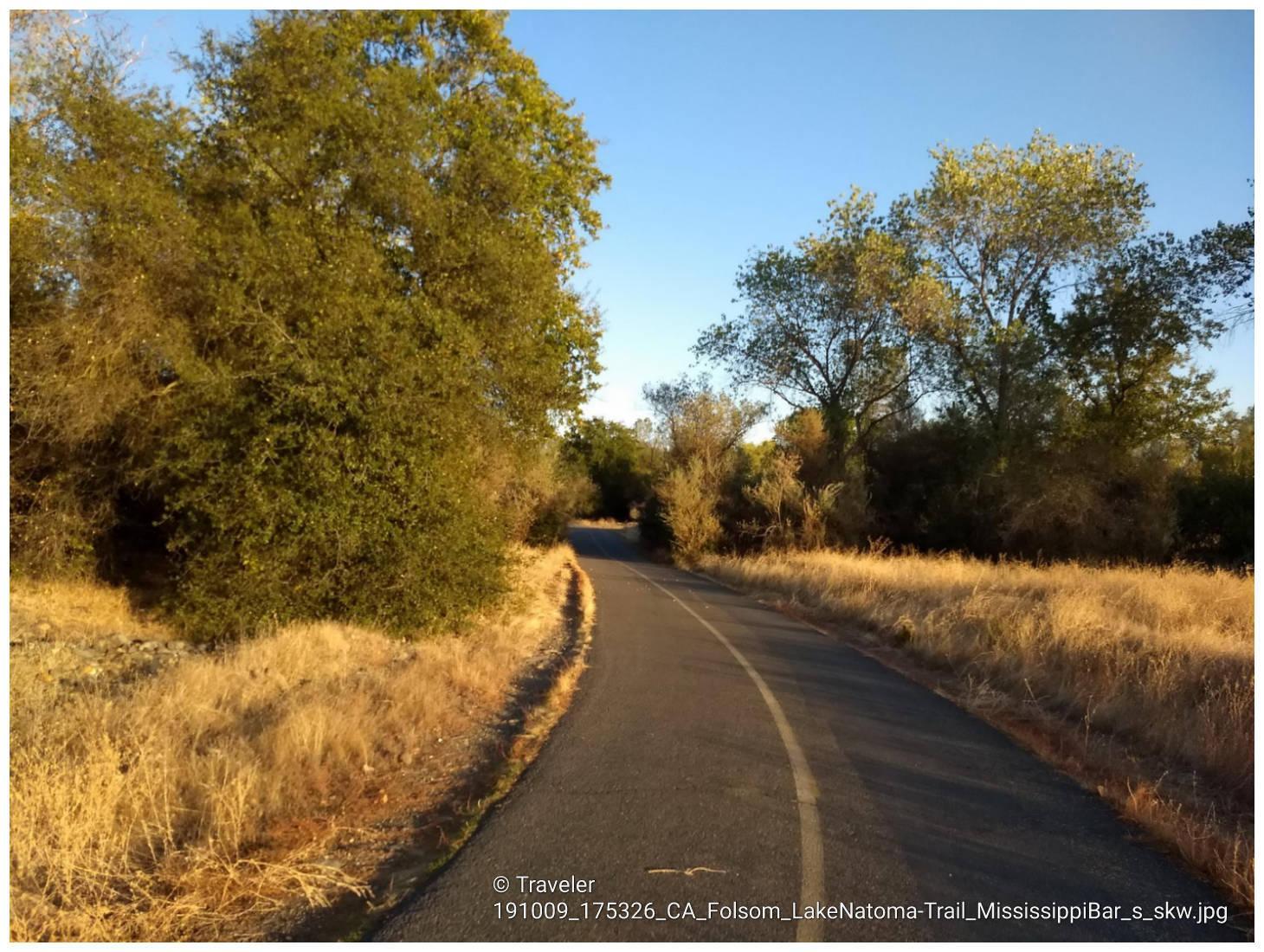 A paved path winds through dry grass and green trees in golden light.