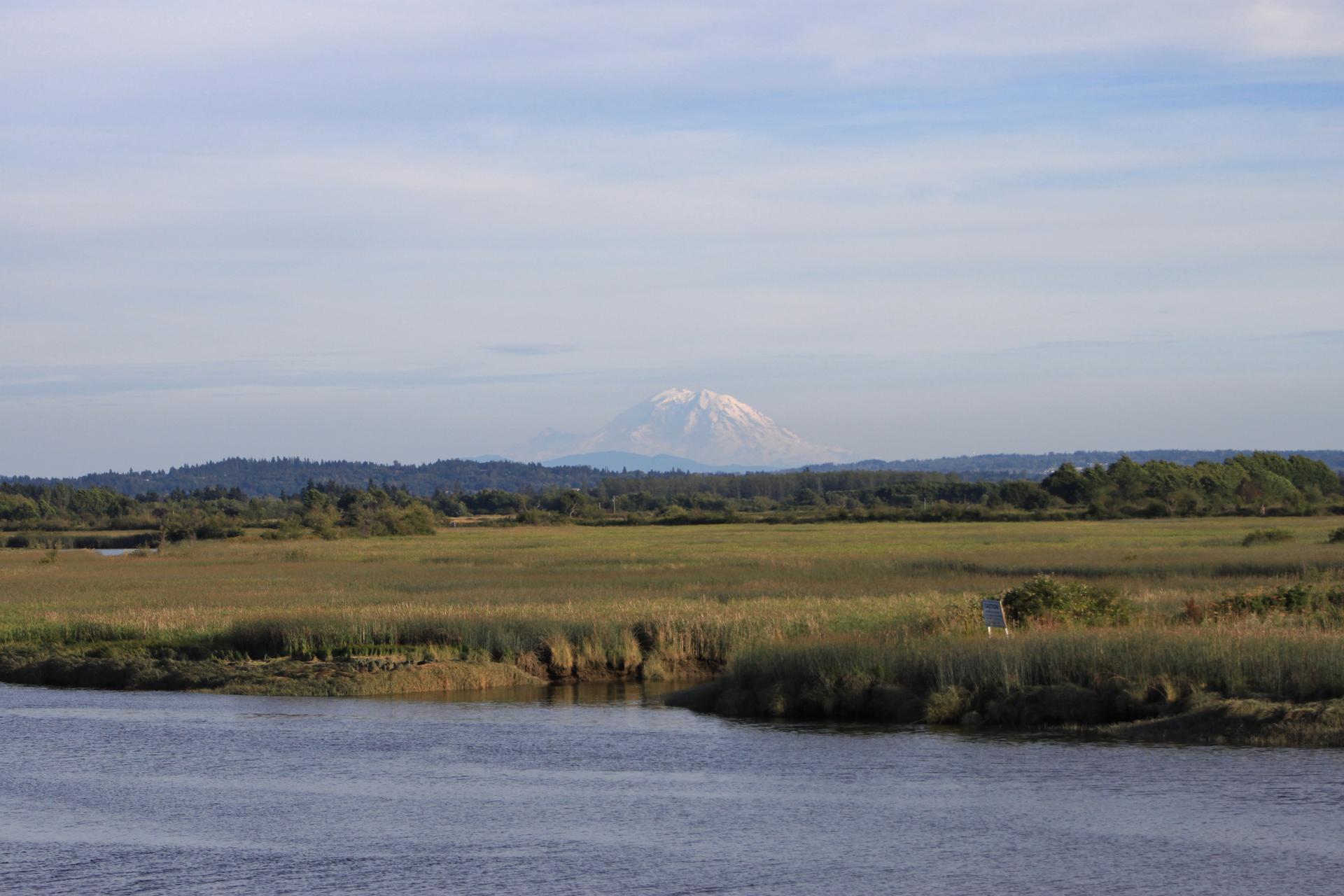 Brightly lit river and marshland with a distant snow-capped mountain under a cloudy sky.