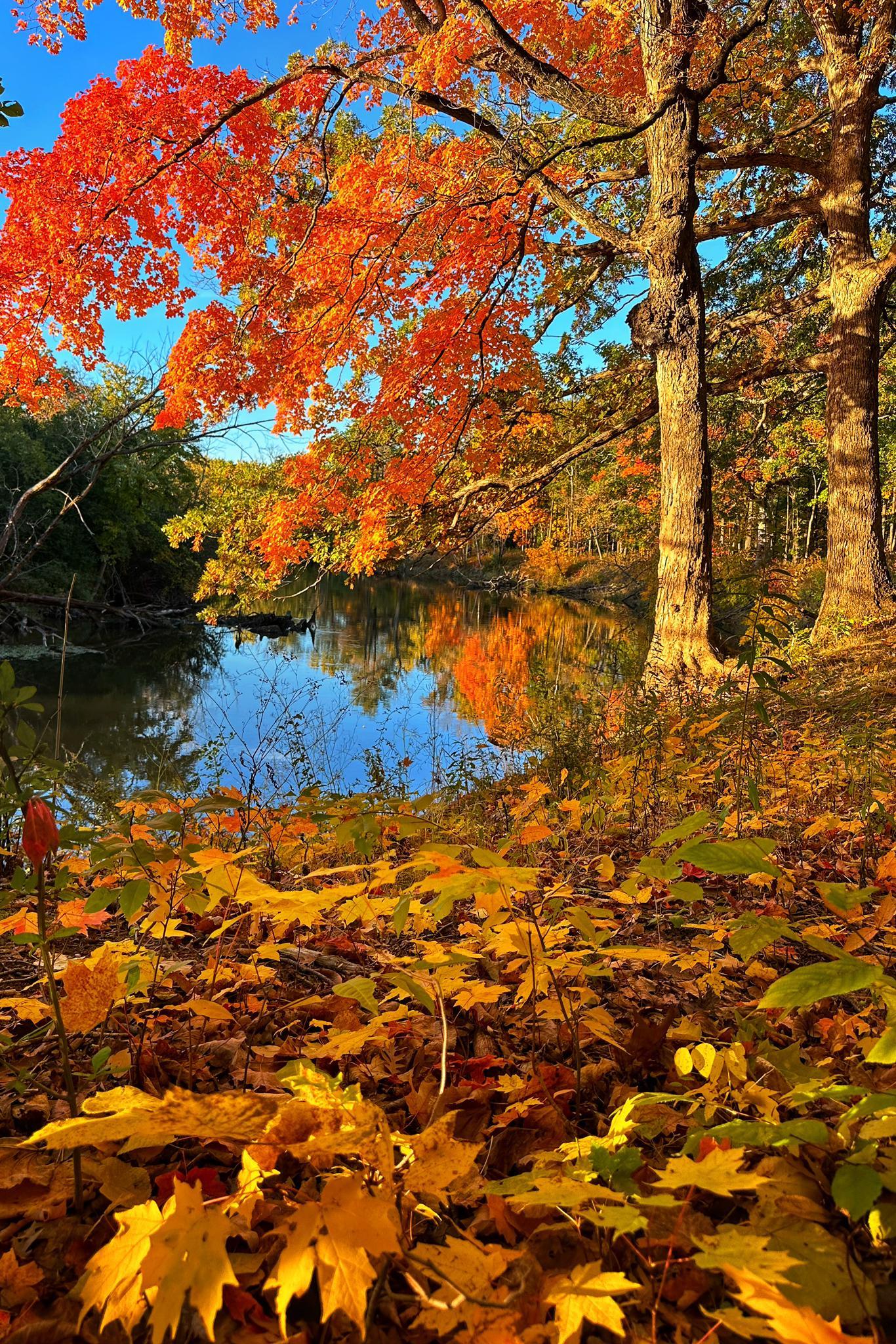 Vibrant autumn trees with red and orange leaves reflected in calm water.