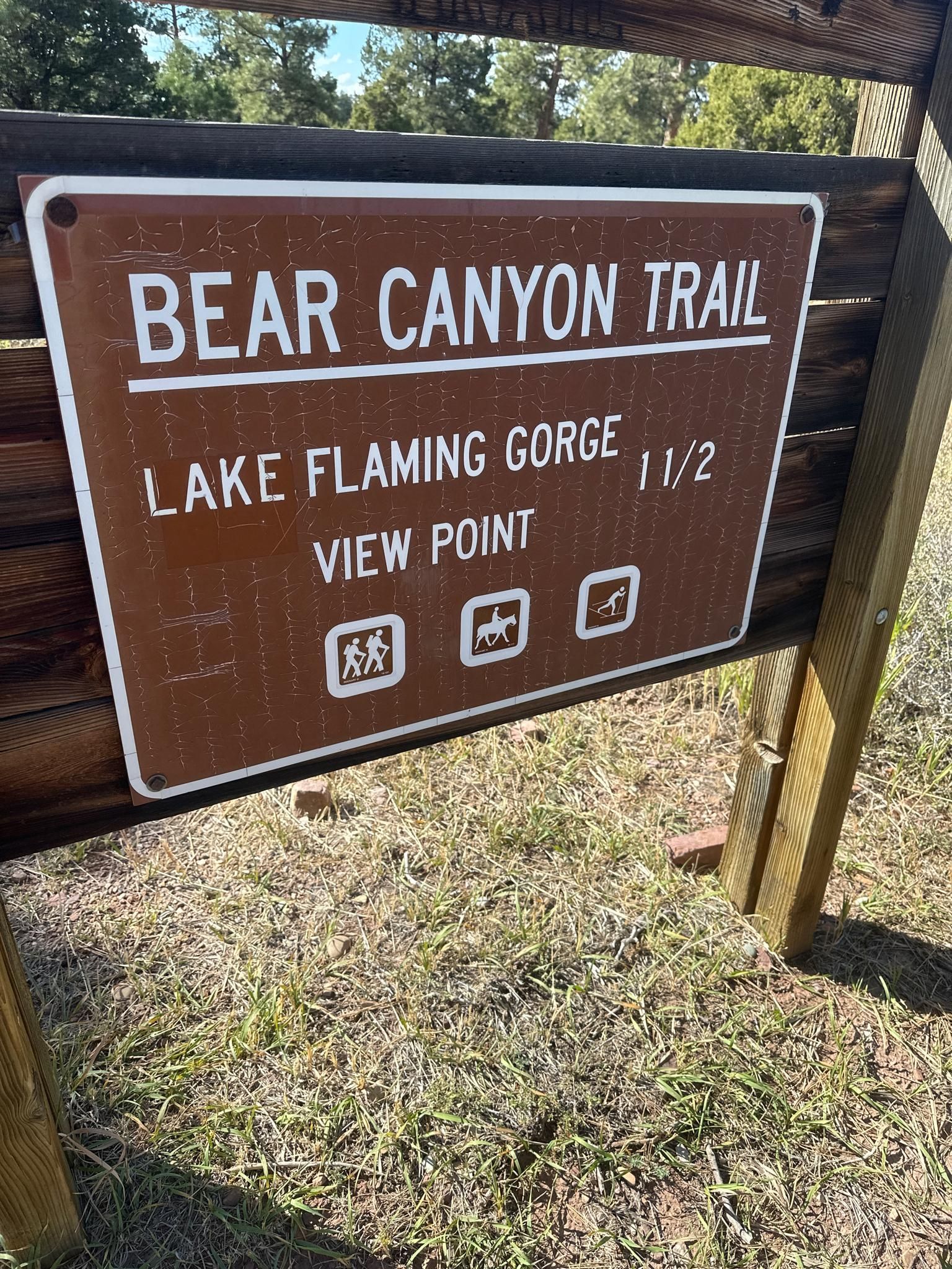 A brown trail sign on a sunny day, indicating a viewpoint. - Bear Canyon Bootleg Trail