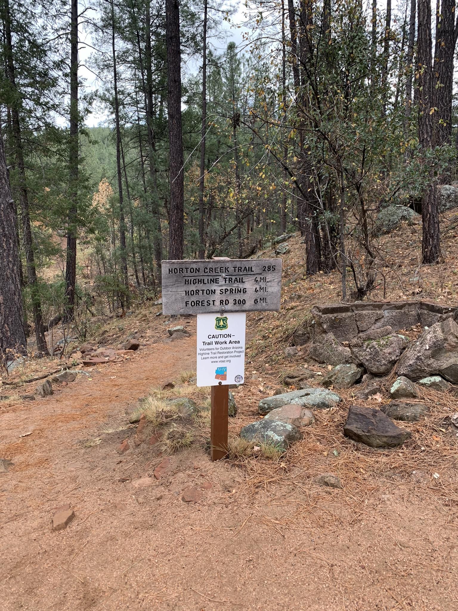 A wooden trail sign stands on a dirt path in a dense forest. - Horton Creek Trail #285