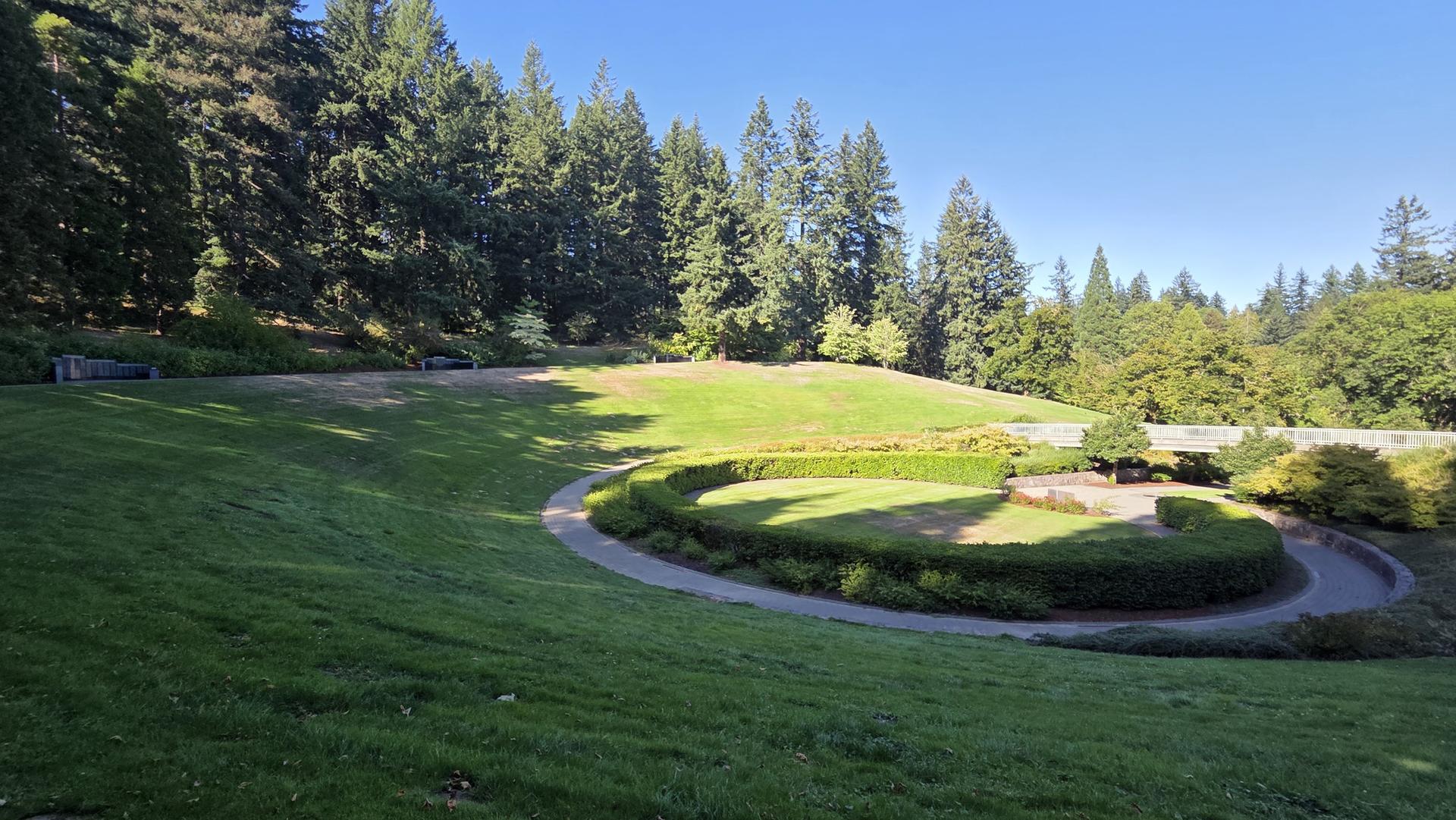 Expansive green lawn with a circular hedge and tall evergreen trees under clear sky.