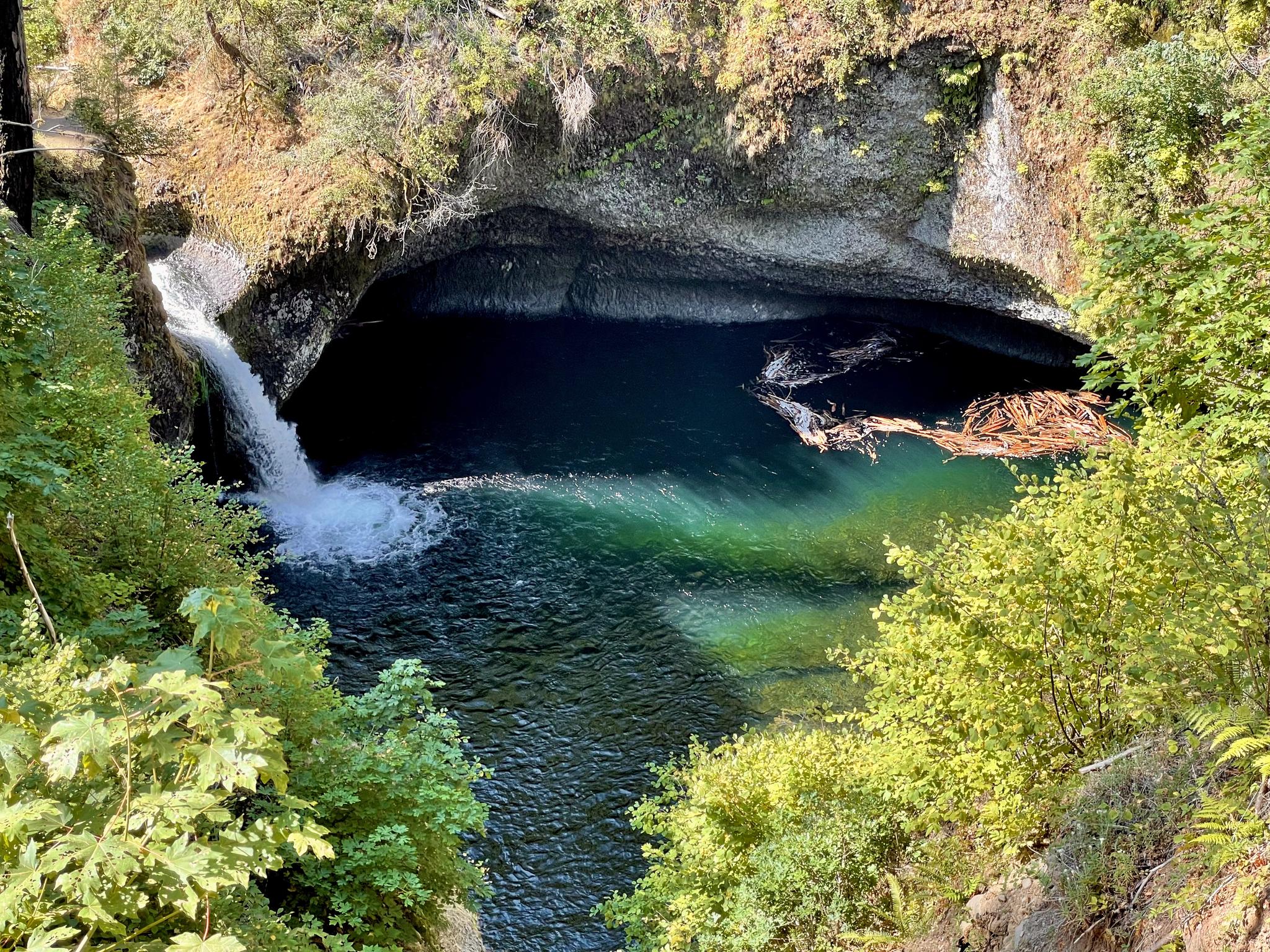 Waterfall plunging into a clear blue-green pool surrounded by green foliage.
