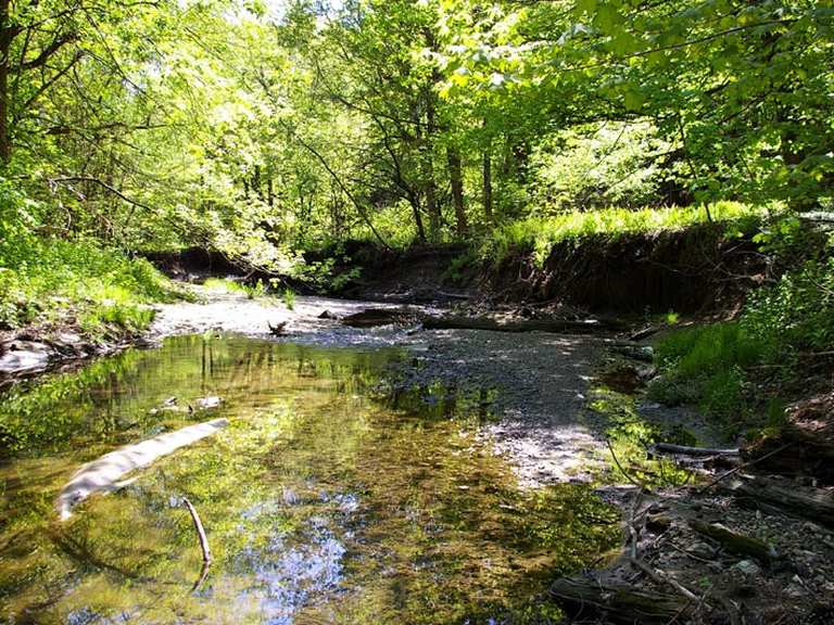 Windfields Park via Wilket Creek Trail — Toronto | Wanderung | Komoot