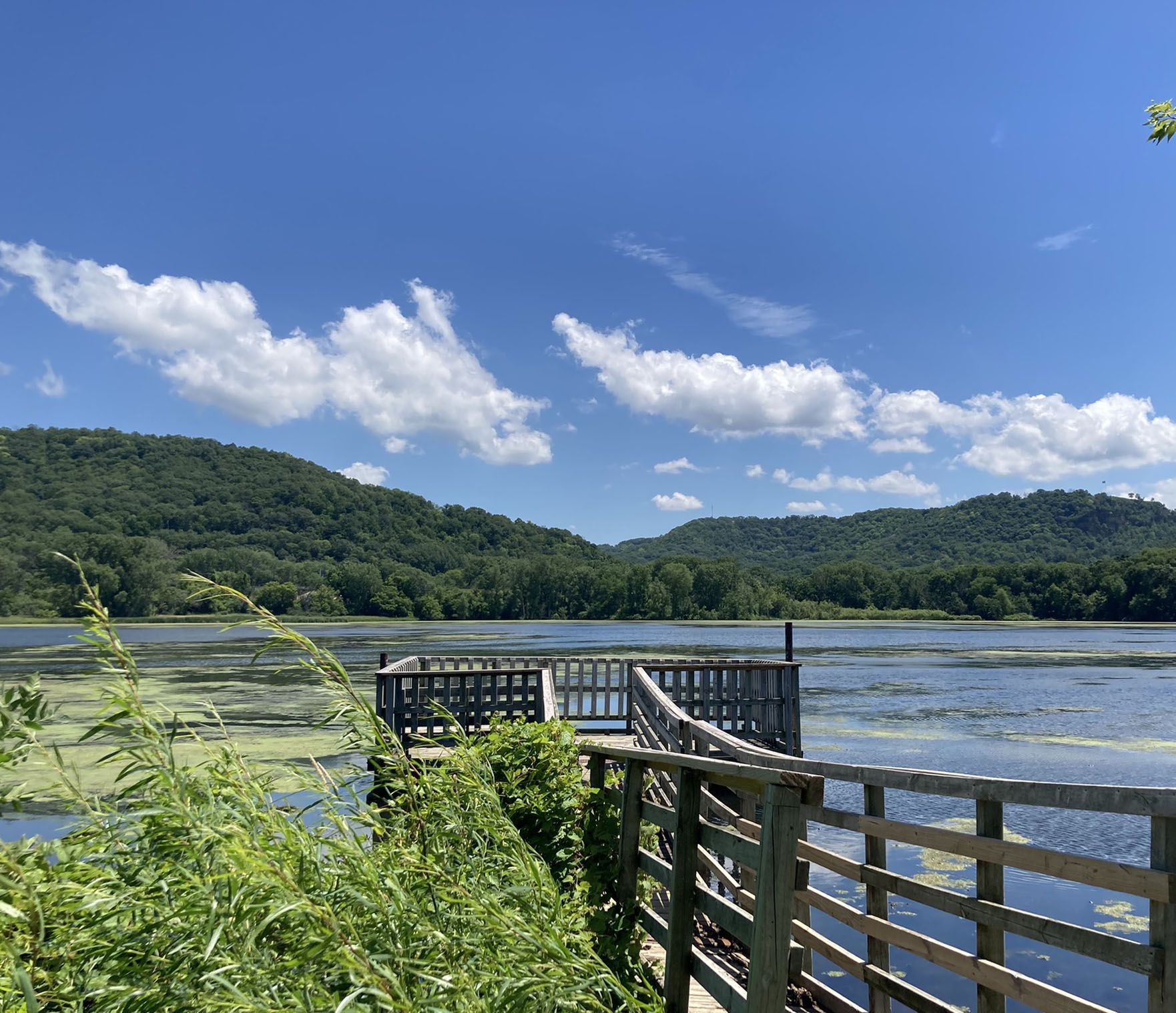 A wooden pier extends into a green-tinged lake with forested hills beyond. - La Crosse Marsh loop from La Crosse
