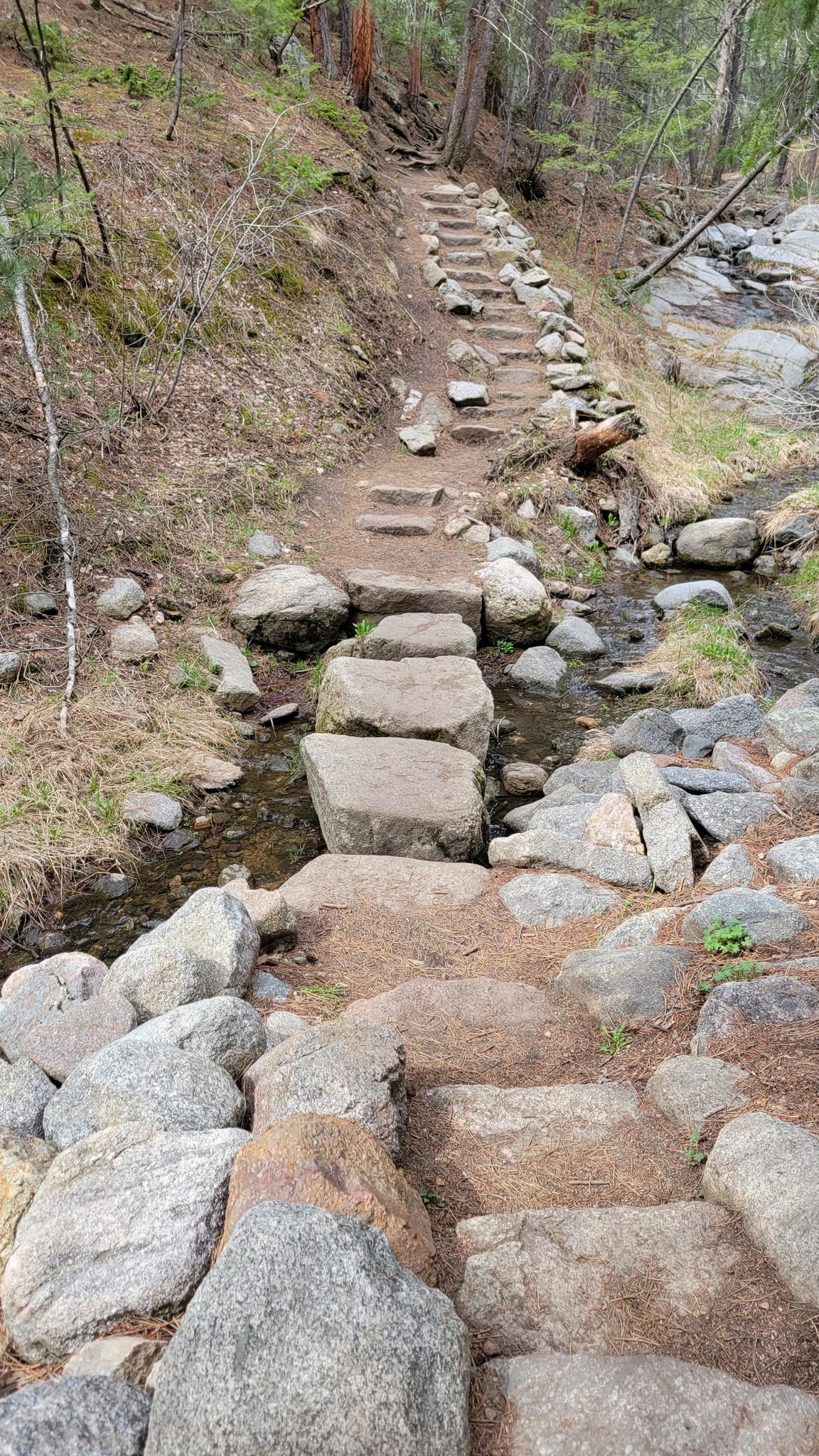 Stone steps cross a small stream and ascend a dirt path into a forest.