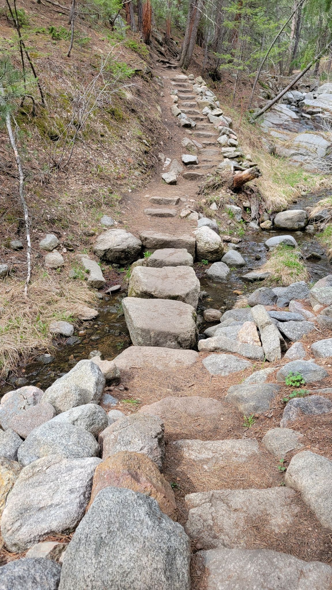 Stone steps cross a small stream and ascend a dirt path into a forest. - Anne U. White Trail