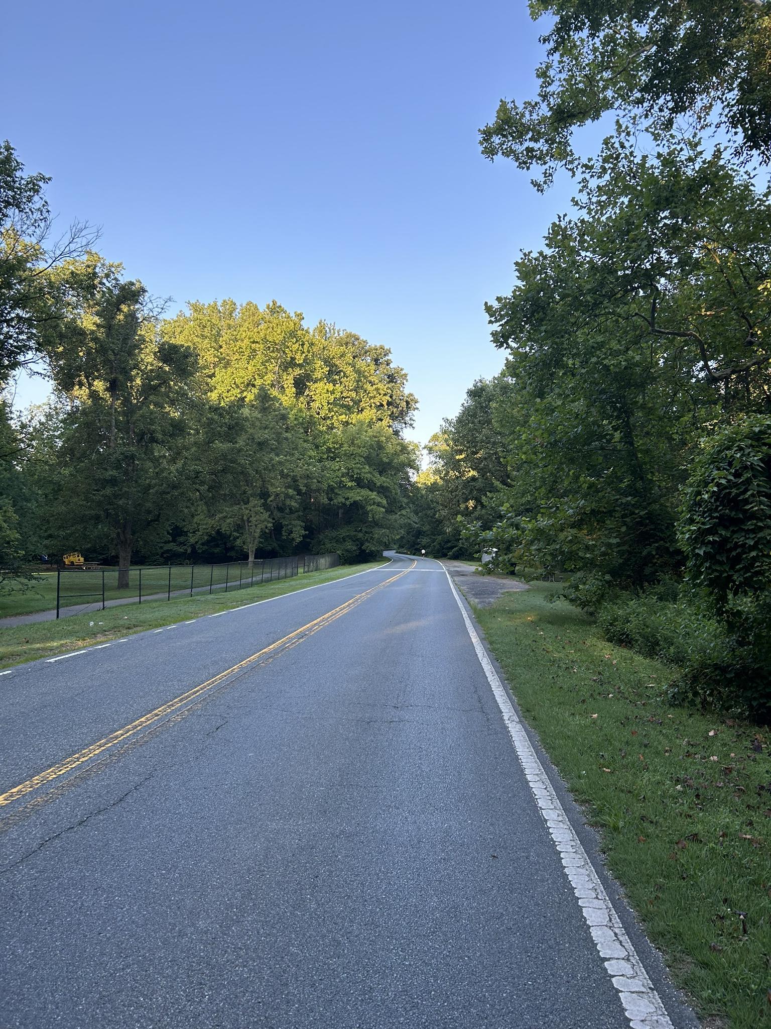 An empty paved road stretches ahead, flanked by lush green trees.