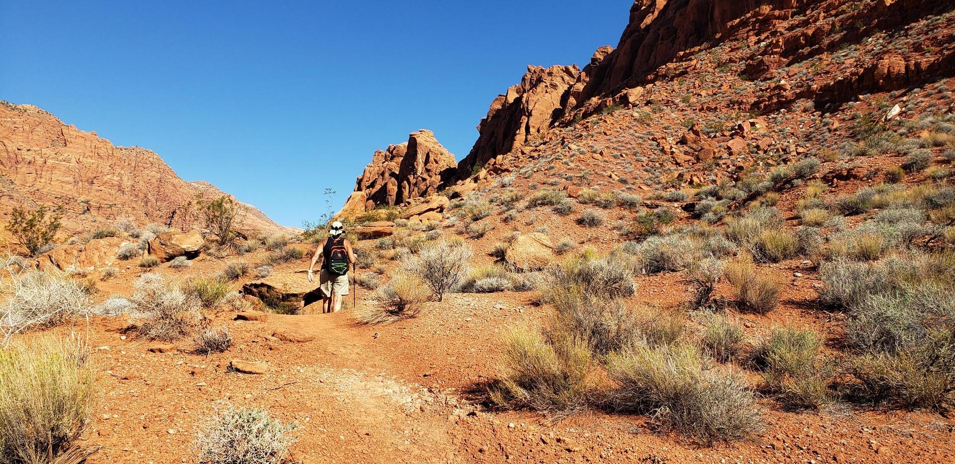 Hiker walks on a sunny desert trail surrounded by red rock formations.