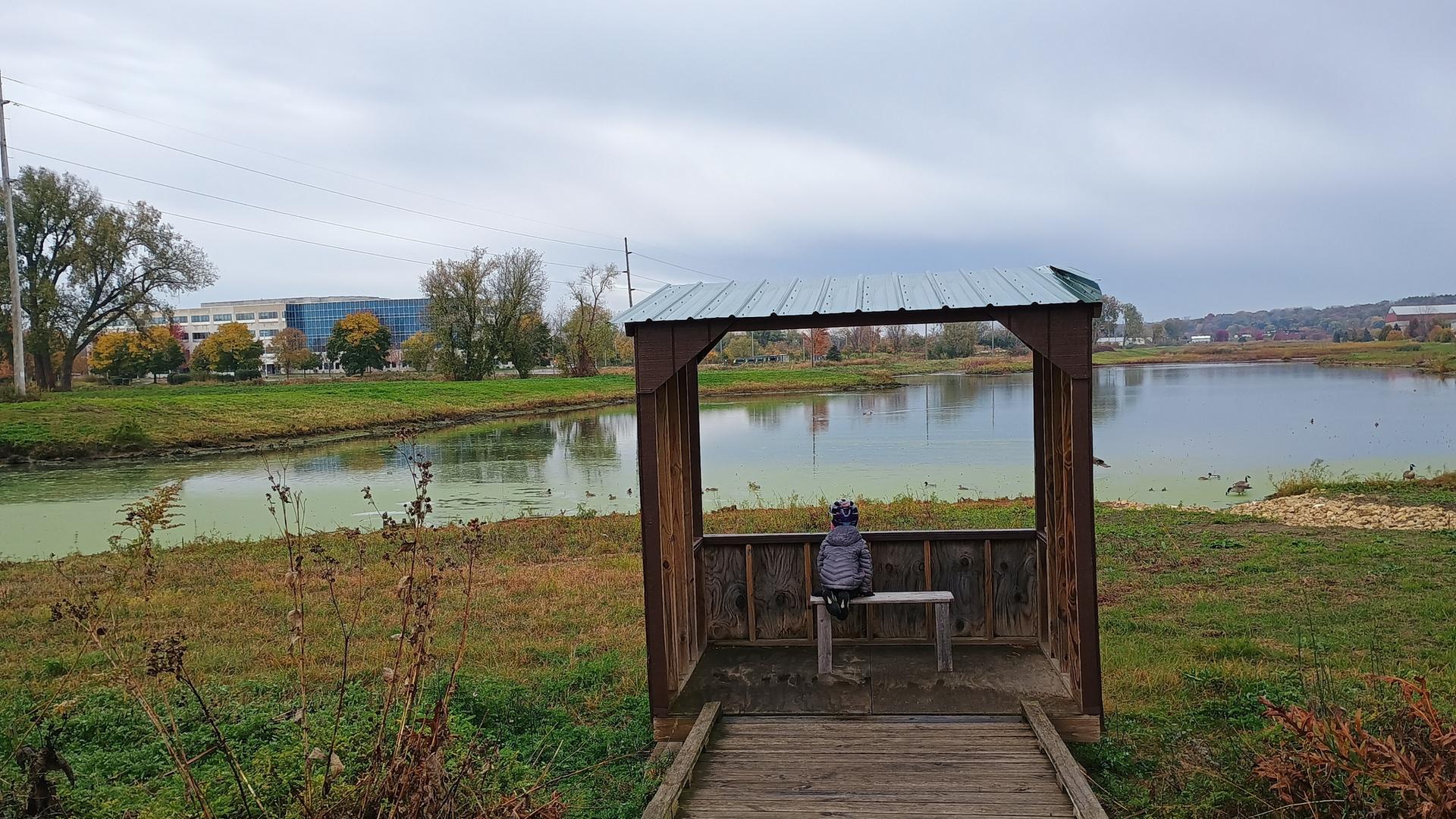 Person sits in wooden shelter overlooking a pond under an overcast sky.