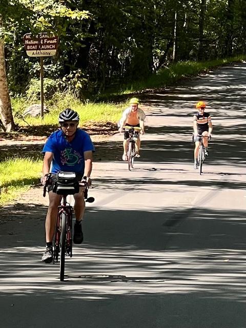 Three people cycling on a sunny paved road lined with green trees.