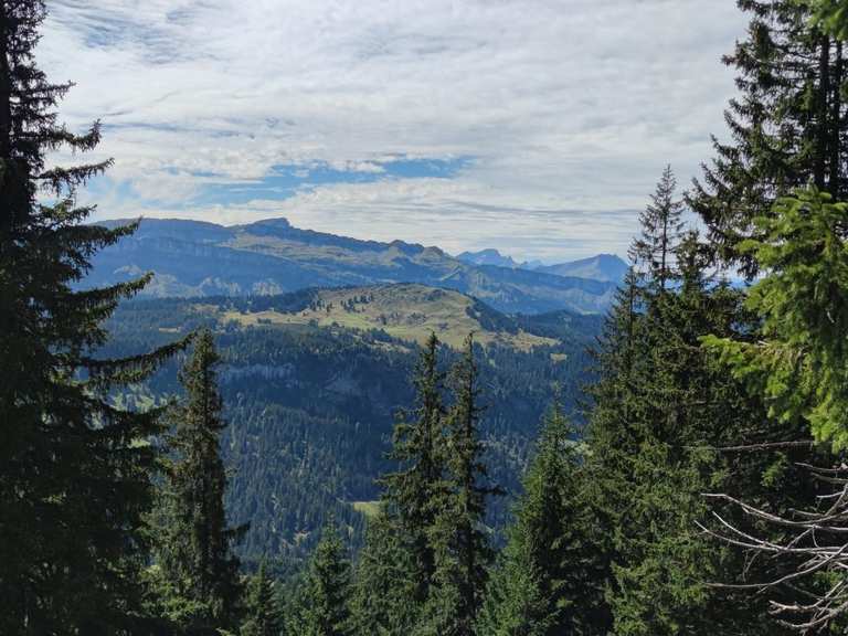 Blick auf den Allgäuer Hauptkamm – Blick über die Mittelalpe Runde von ...