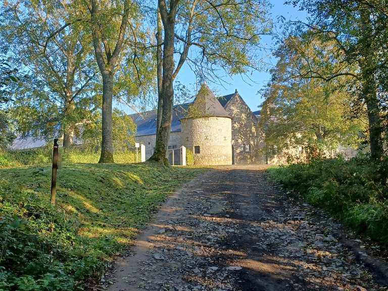 Château de la Falize: Wanderungen und Rundwege | komoot