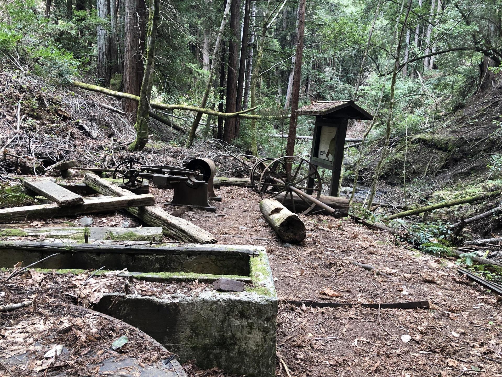Old logging machinery and a wooden interpretive sign in a dense forest.