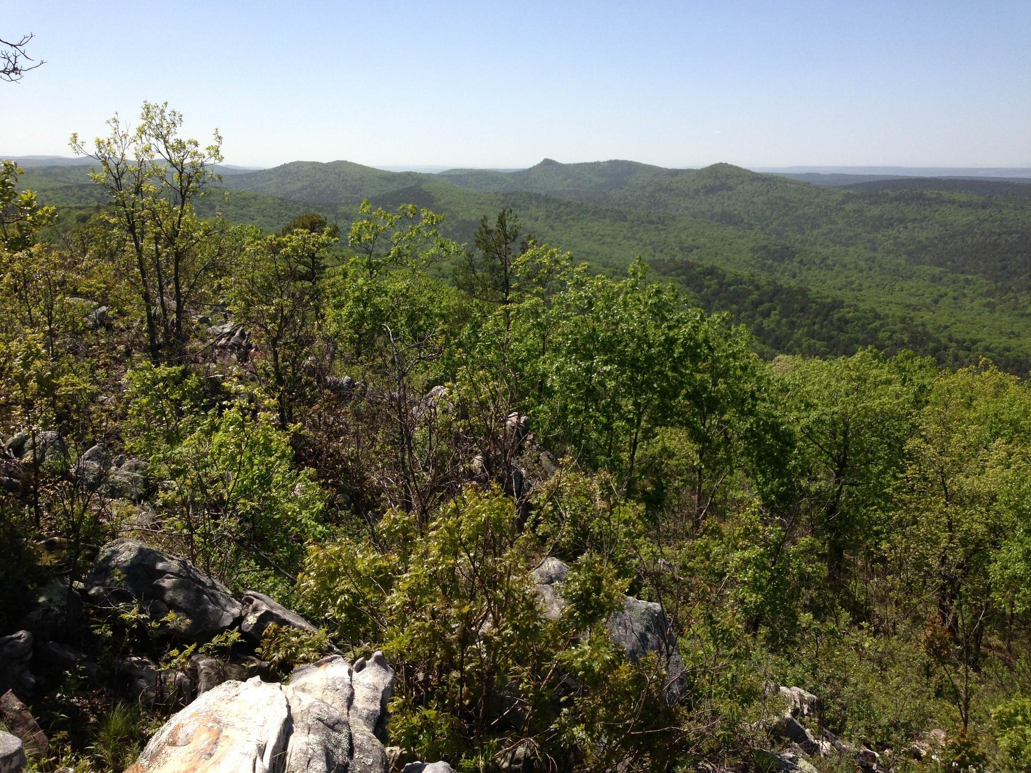 Rocky foreground overlooking a sprawling forest of green hills on a clear day.