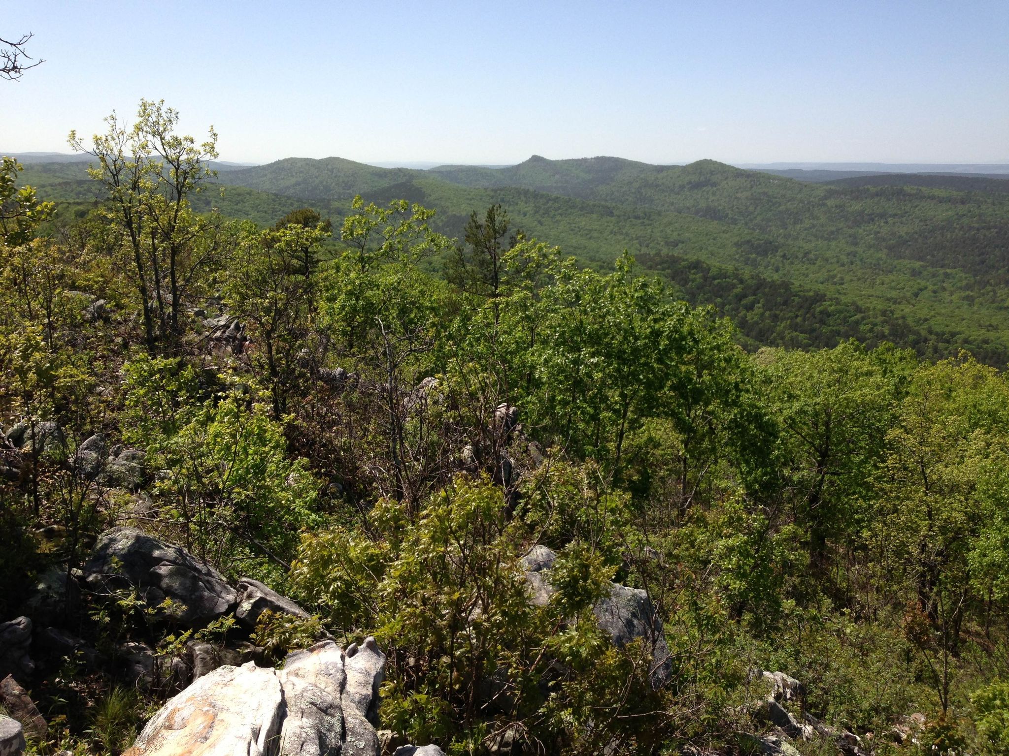 Rocky foreground overlooking a sprawling forest of green hills on a clear day. - Flatside Pinnacle Spur Trail